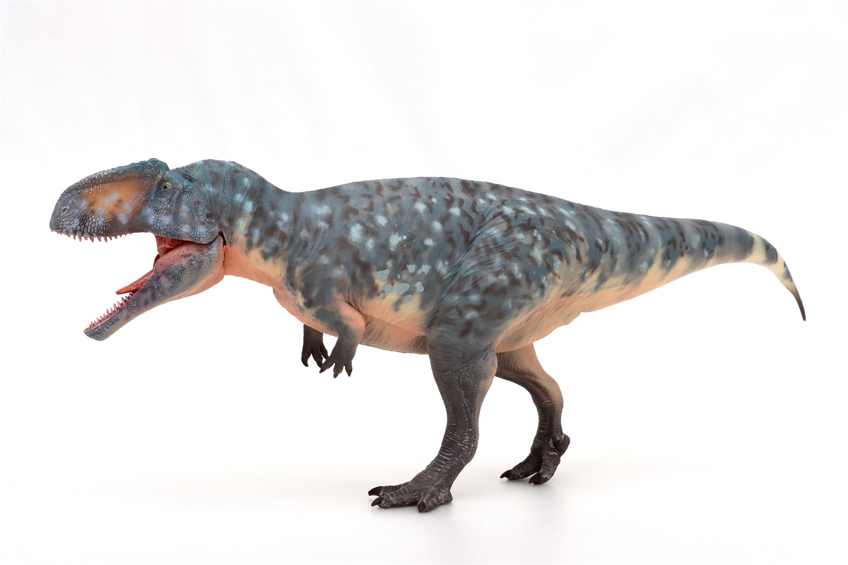HAOLONGGOOD 1:35 Scale Giganotosaurus Model