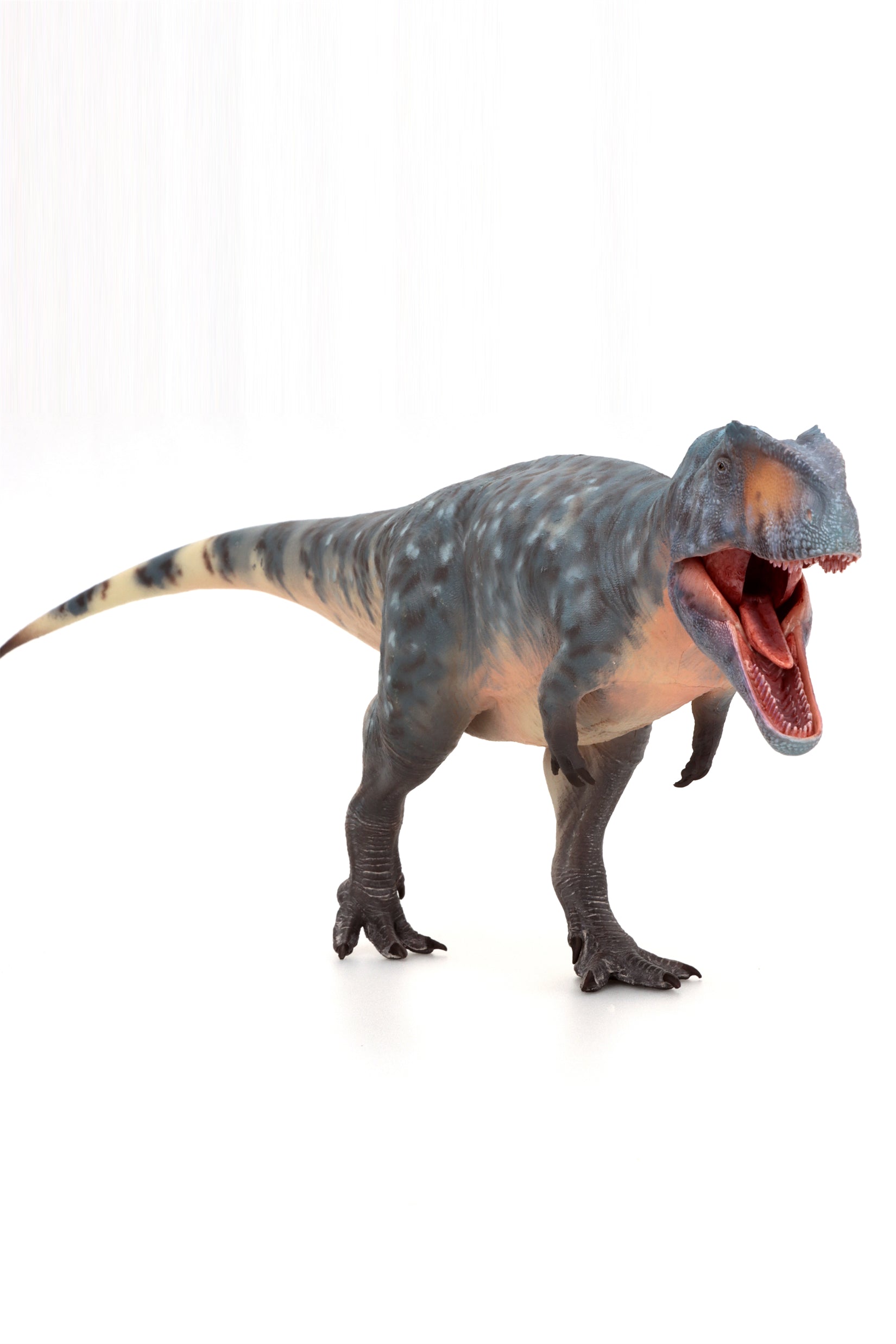 HAOLONGGOOD 1:35 Scale Giganotosaurus Model