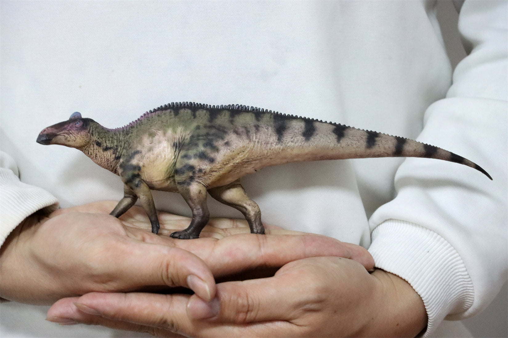 HAOLONGGOOD 1:35 Scale Edmontosaurus Model