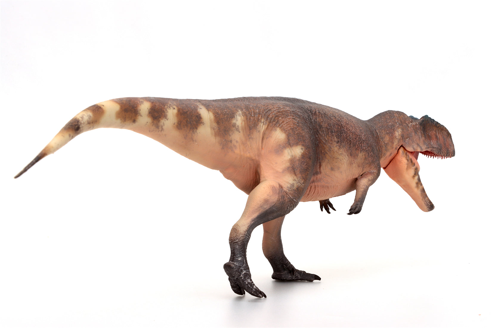 HAOLONGGOOD 1:35 Scale Giganotosaurus Model