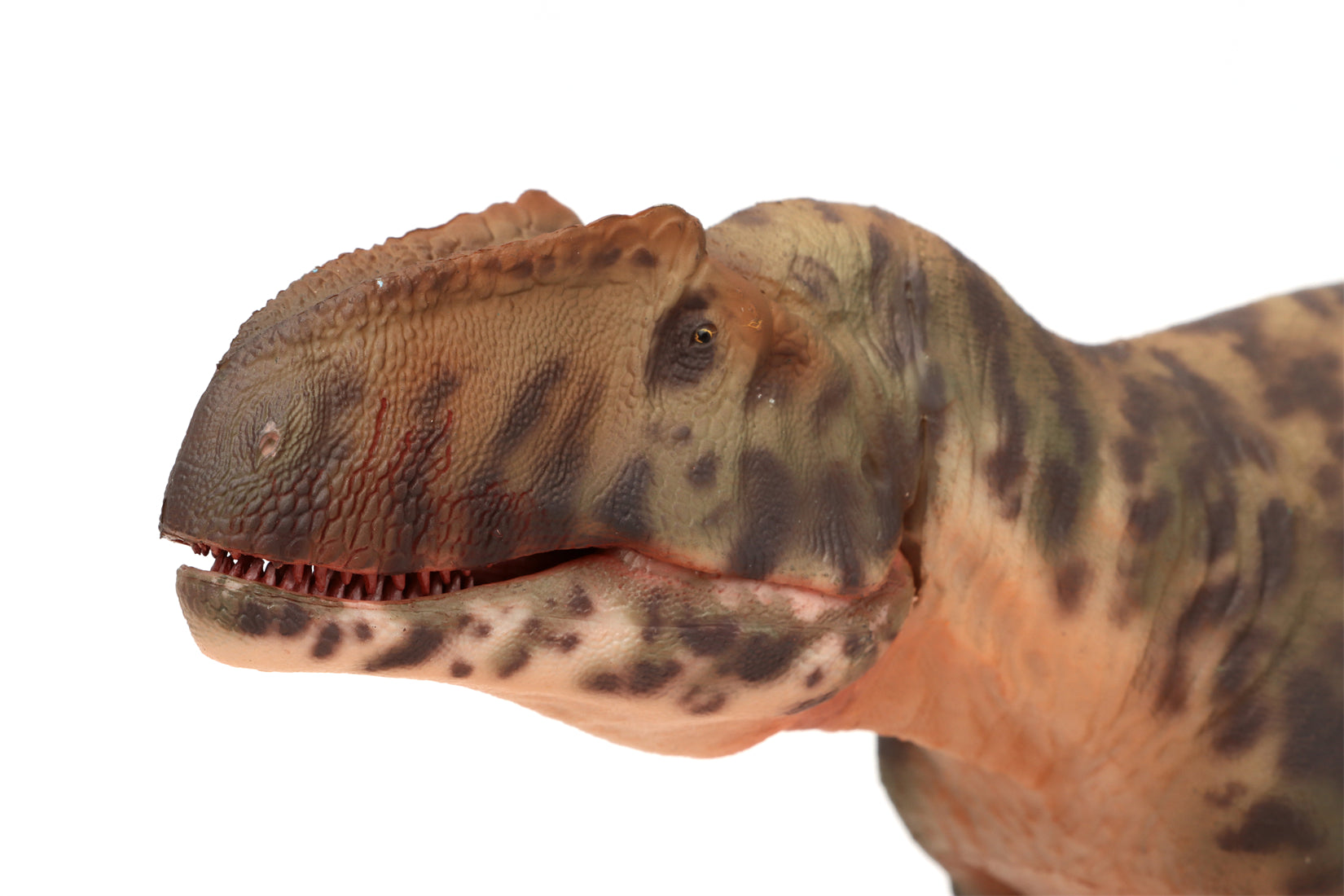 HAOLONGGOOD 1:35 Scale Giganotosaurus Model