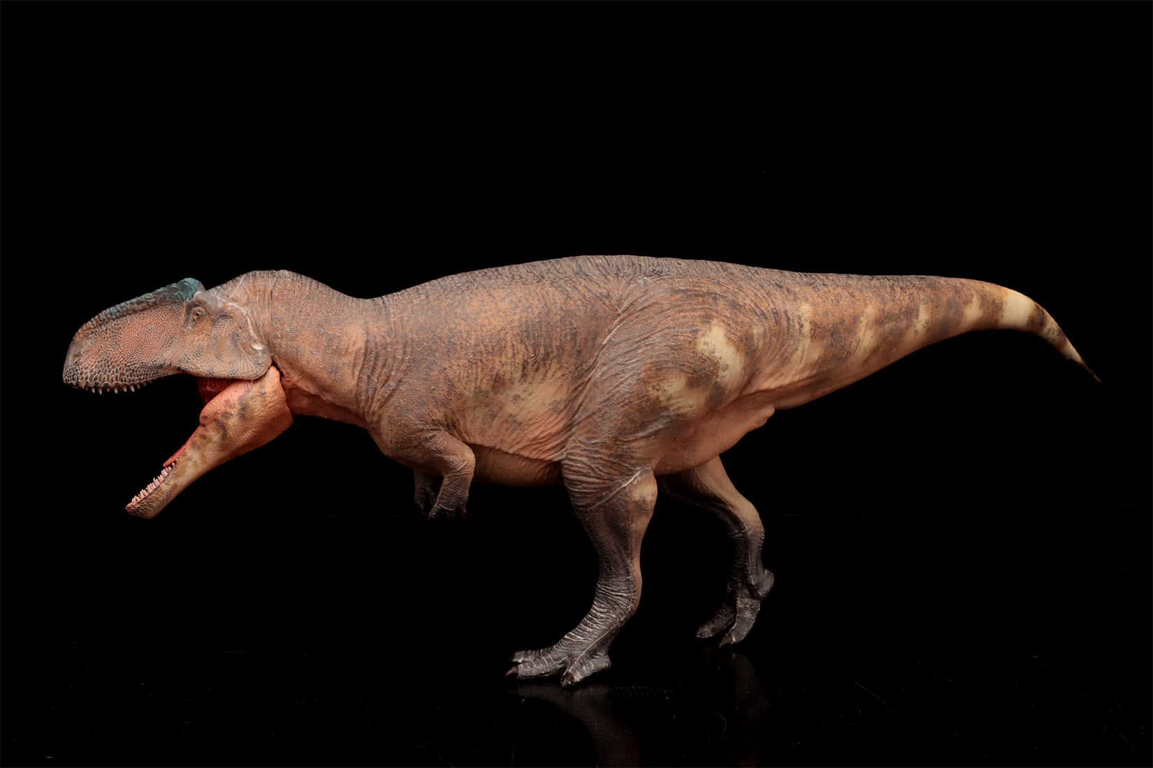 HAOLONGGOOD 1:35 Scale Giganotosaurus Model