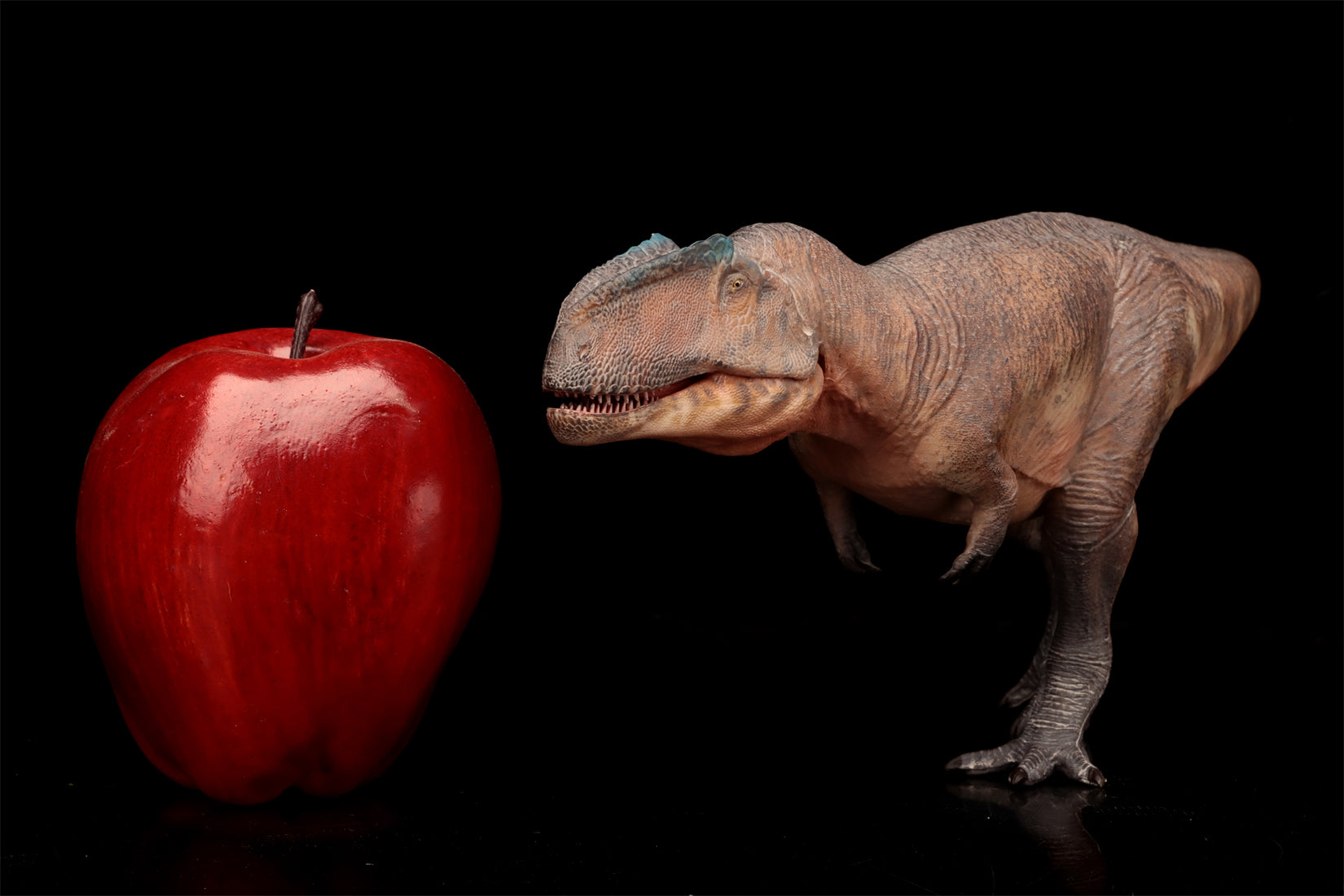 HAOLONGGOOD 1:35 Scale Giganotosaurus Model