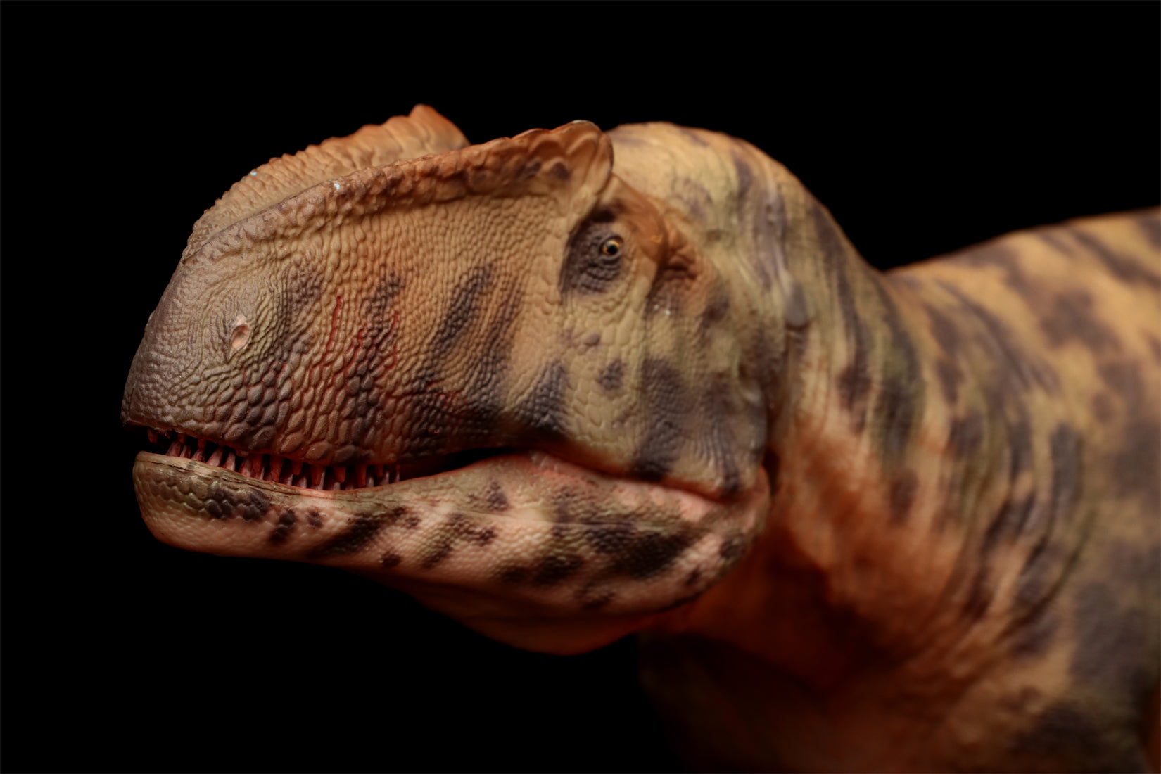 HAOLONGGOOD 1:35 Scale Giganotosaurus Model