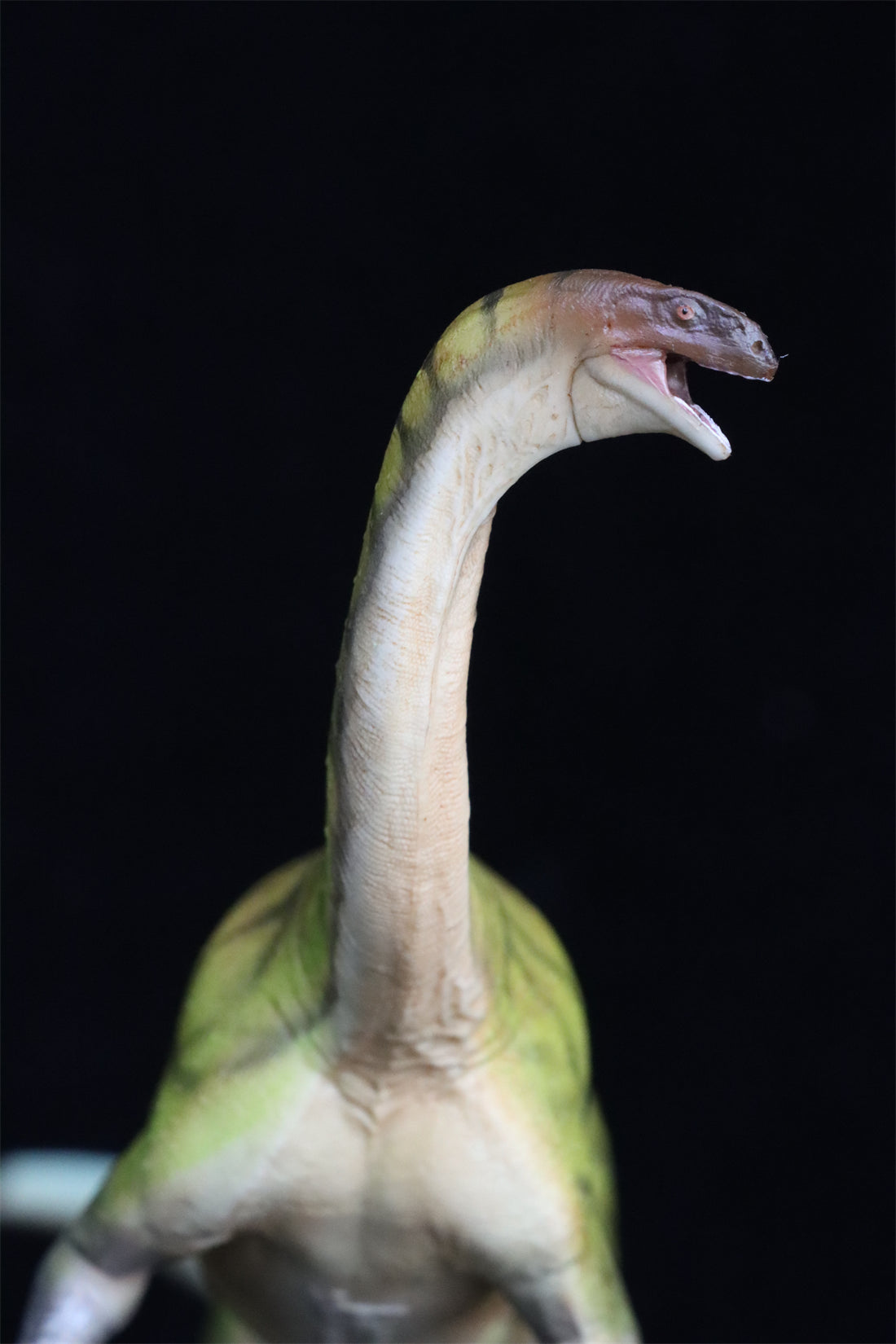 PNSO Lufengosaurus Yiran Model