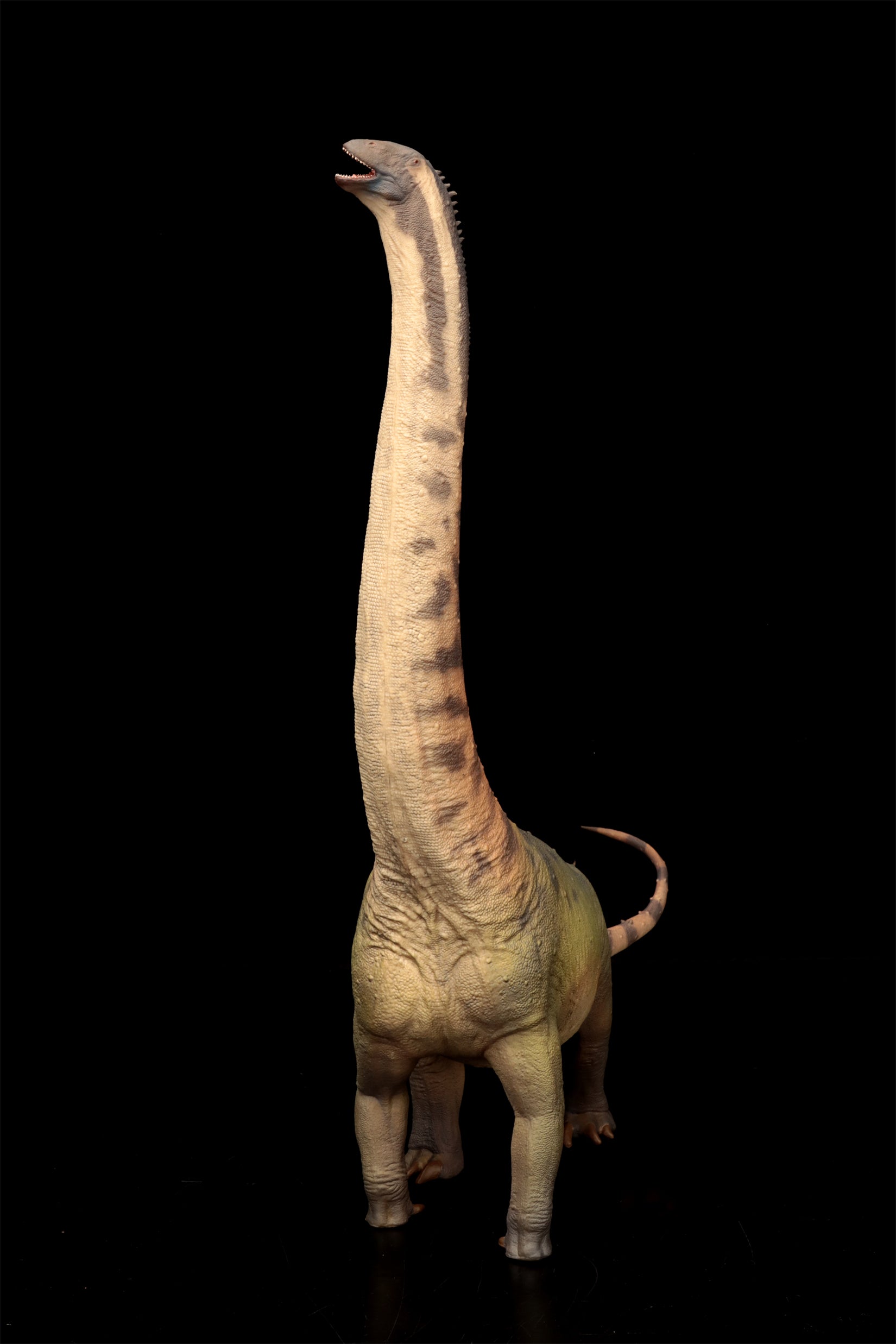 PNSO Hongkongsaurus Huigui 1:45 Scale Model
