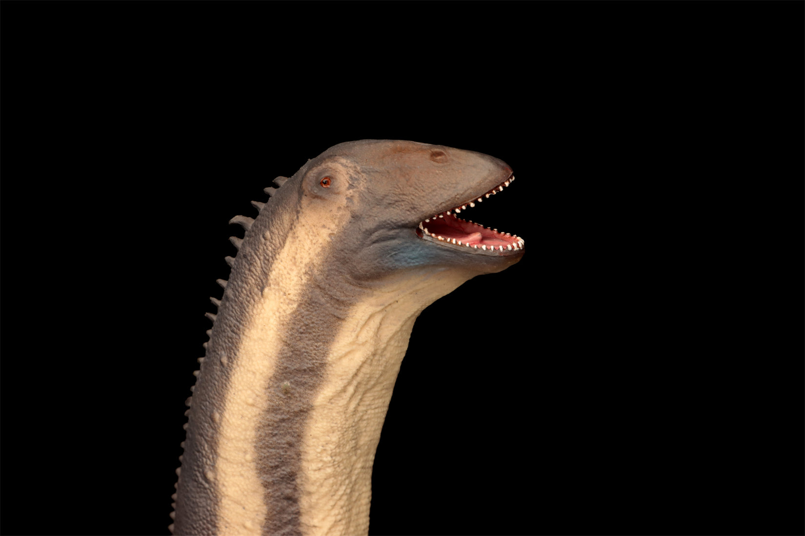 PNSO Hongkongsaurus Huigui 1:45 Scale Model