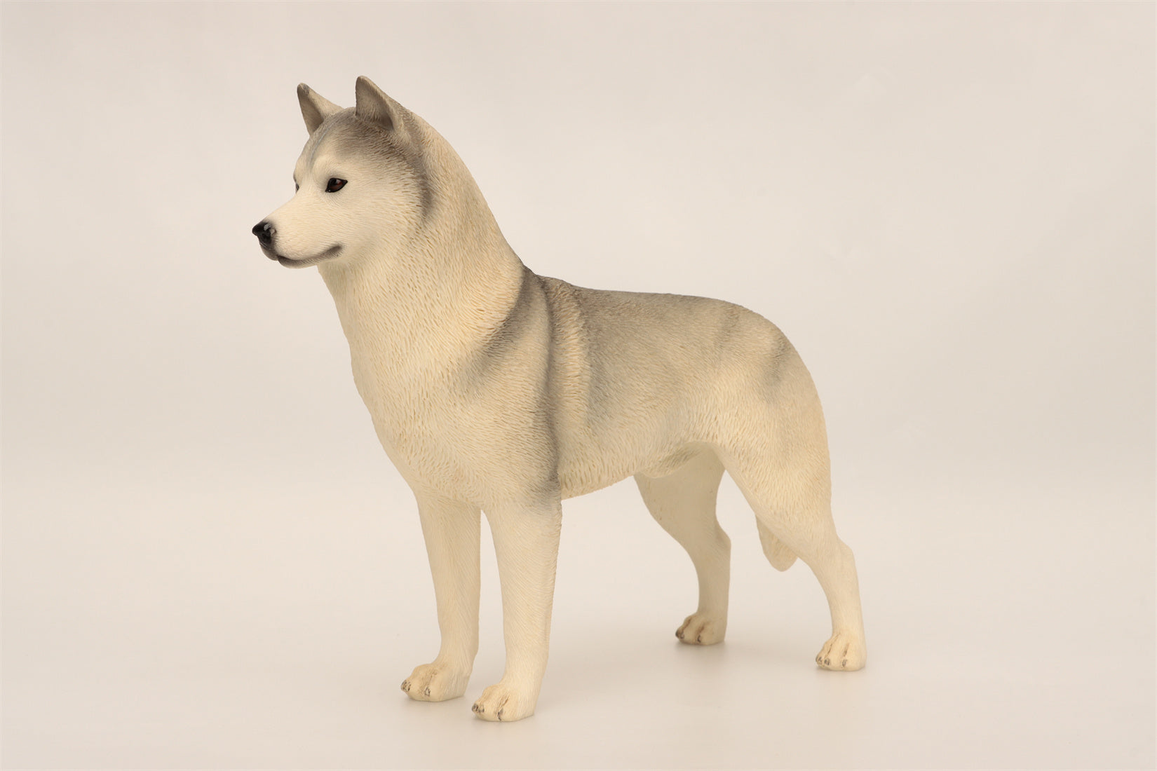 1/6 Siberian Husky Figure