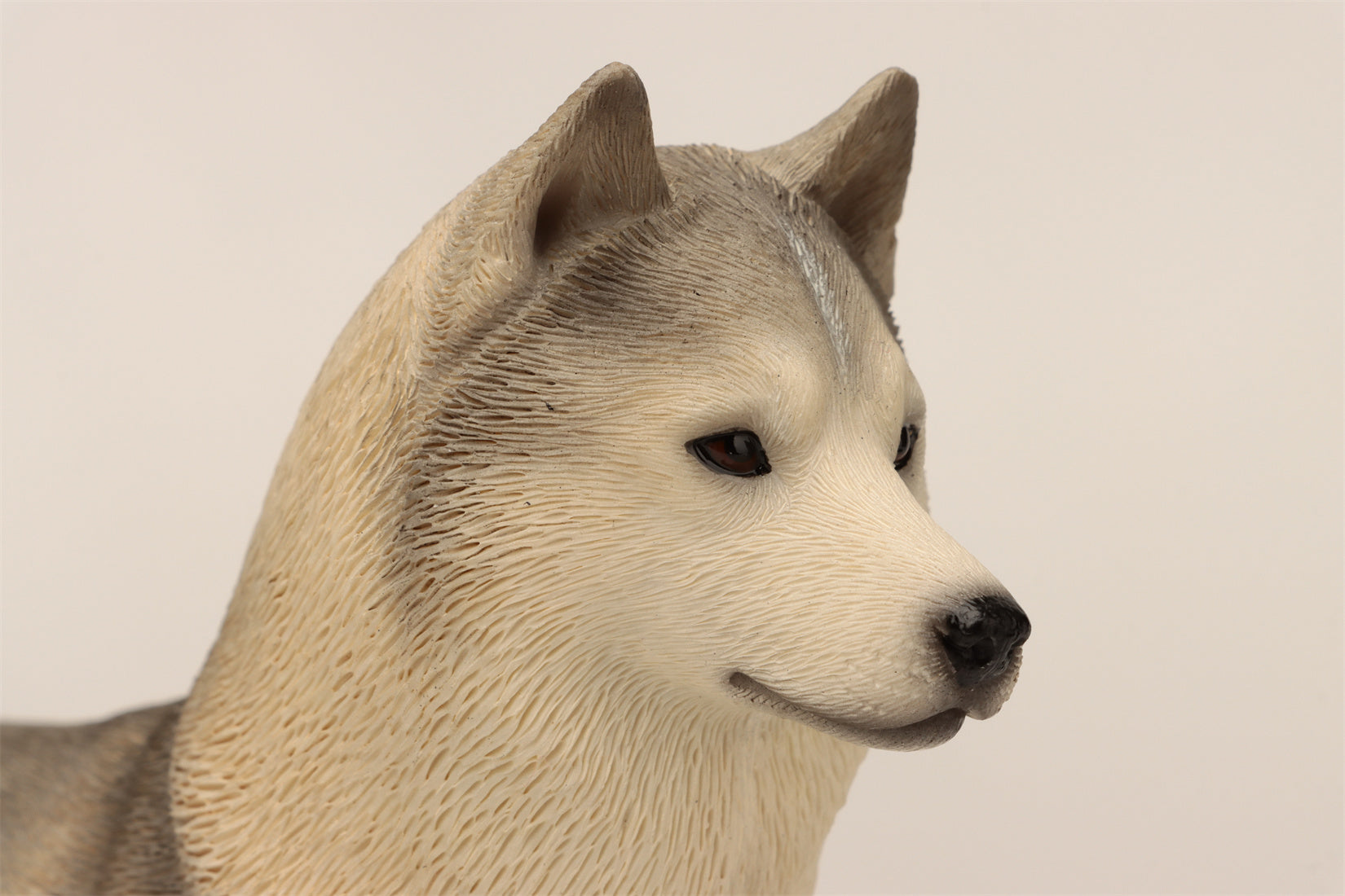 1/6 Siberian Husky Figure