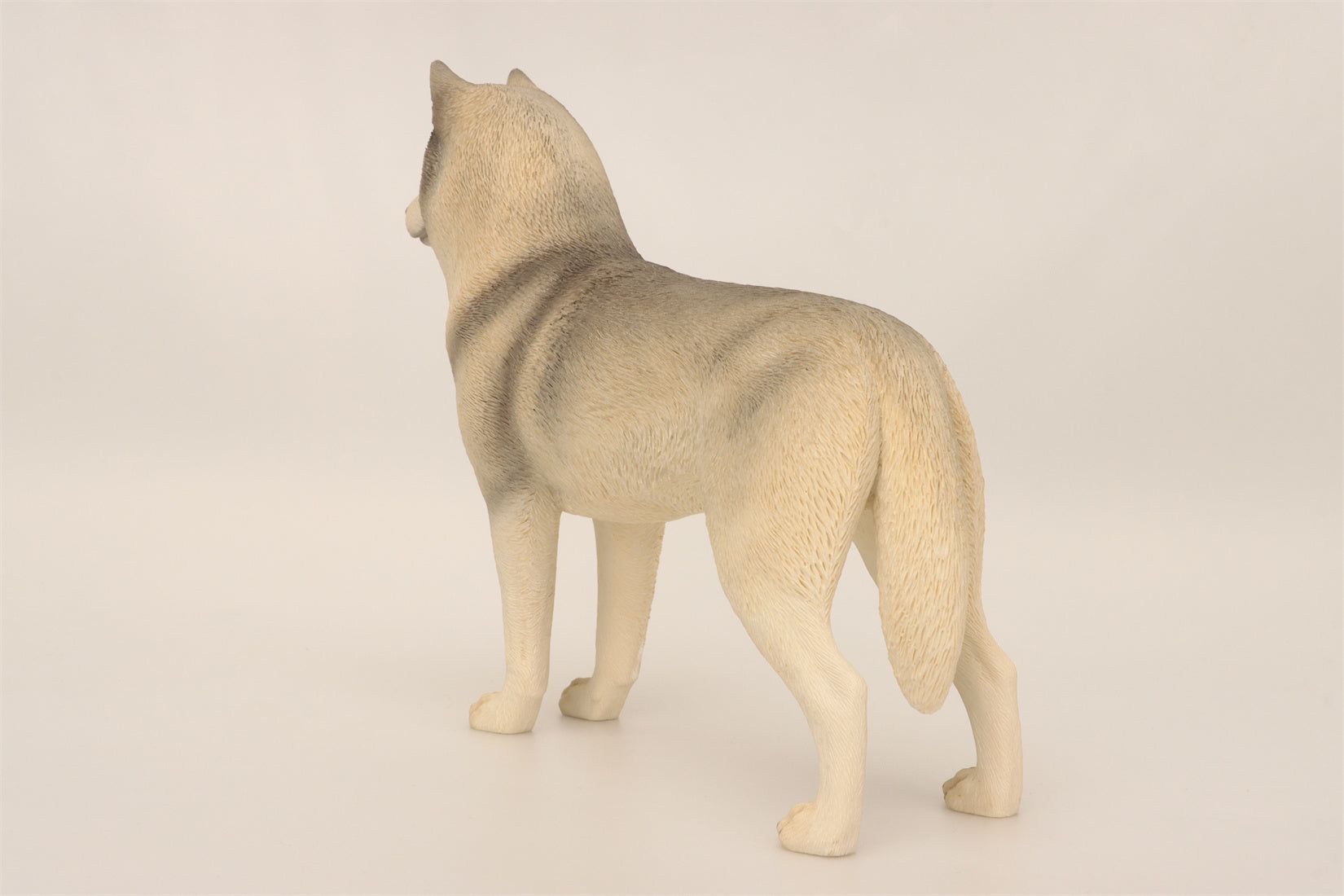 1/6 Siberian Husky Figure
