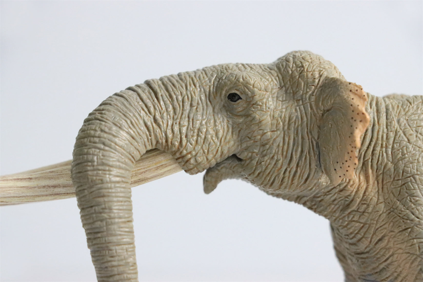 TNG Arsinoitherium Elasmotherium Megatherium Woolly Mammoth Stegodon Figure