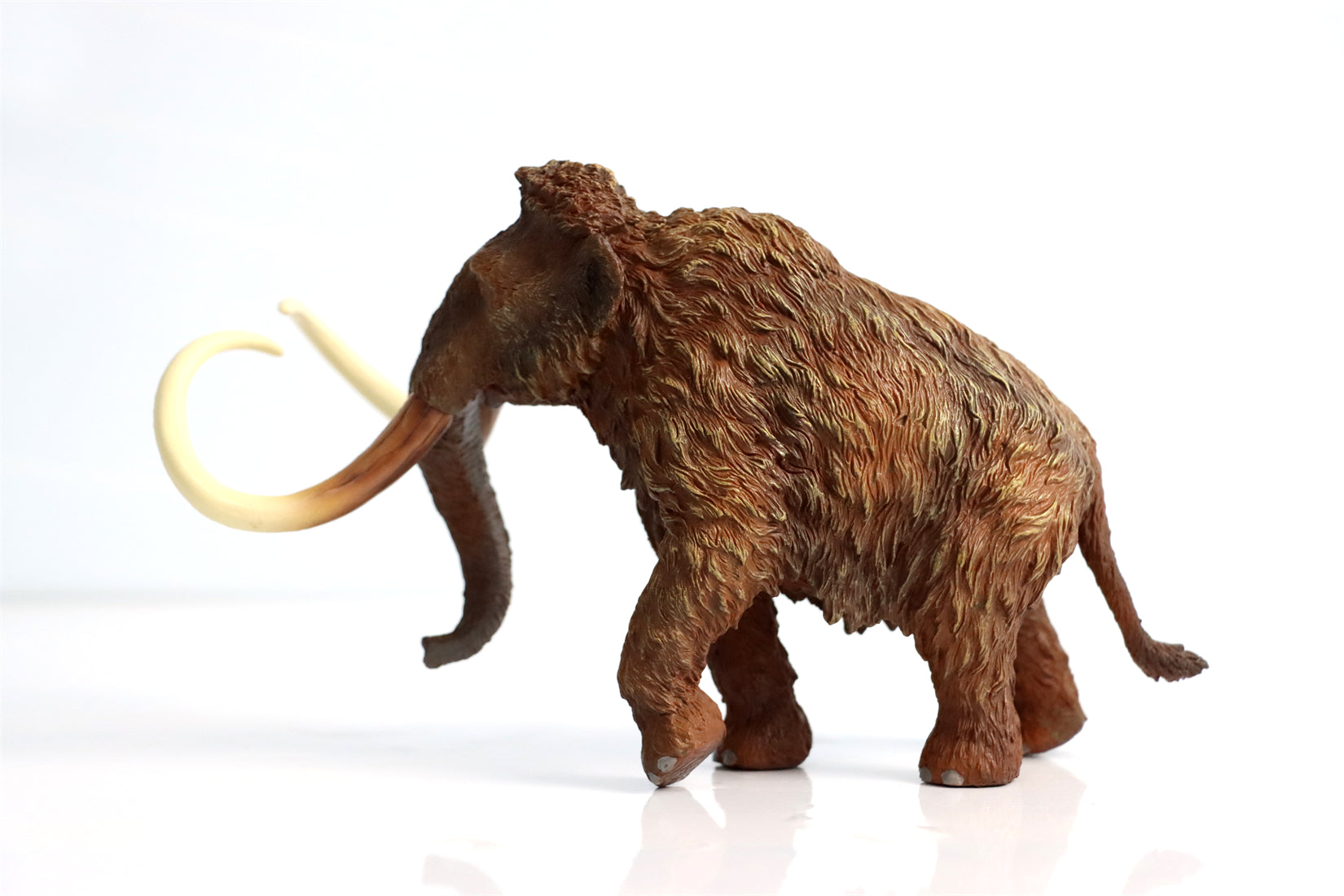 TNG Elasmotherium Megatherium Woolly Mammoth Stegodon Brontotheriidae Smilodon Figure