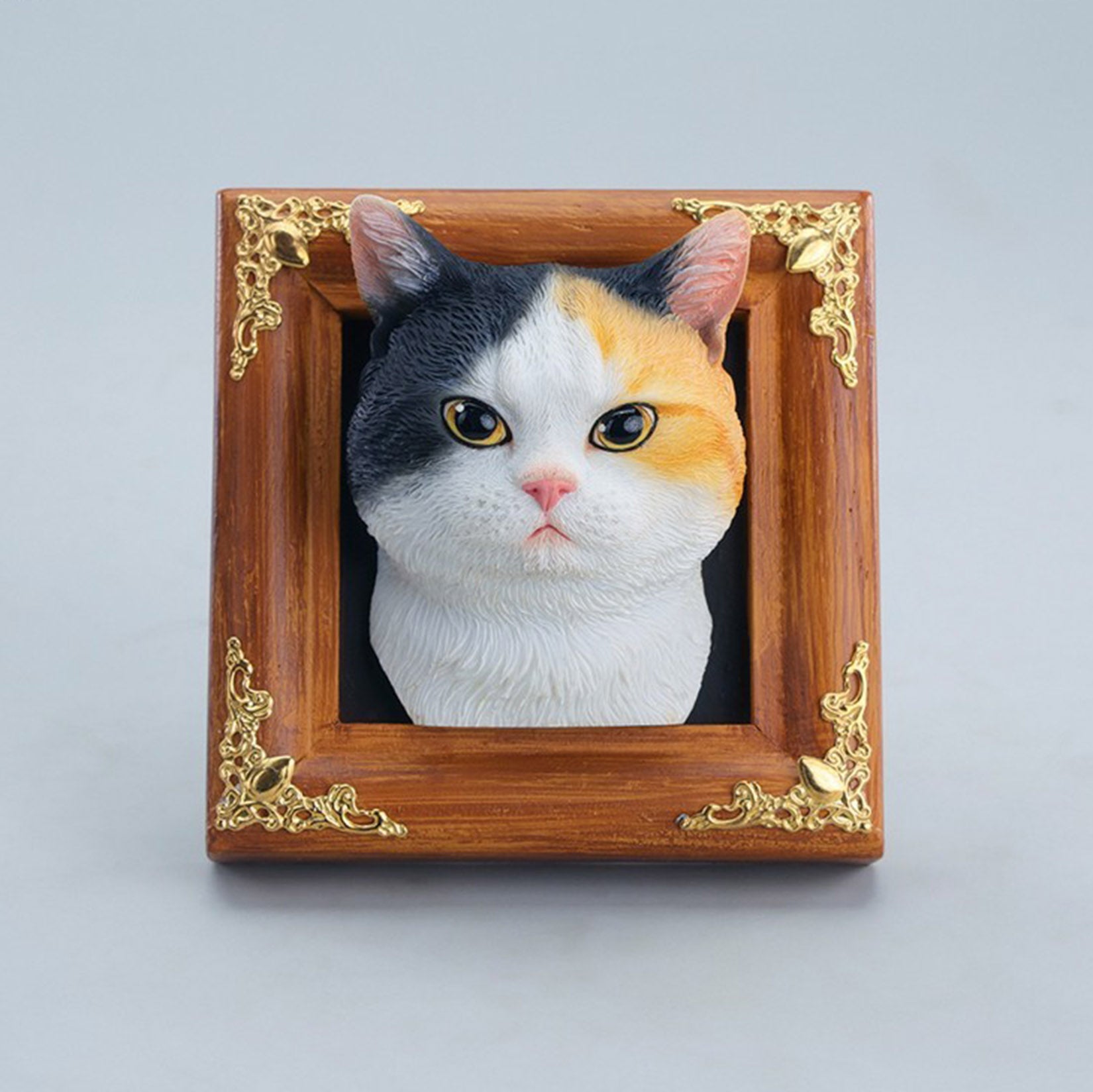 JXK Studio Gentle-eyed Country Cat Model