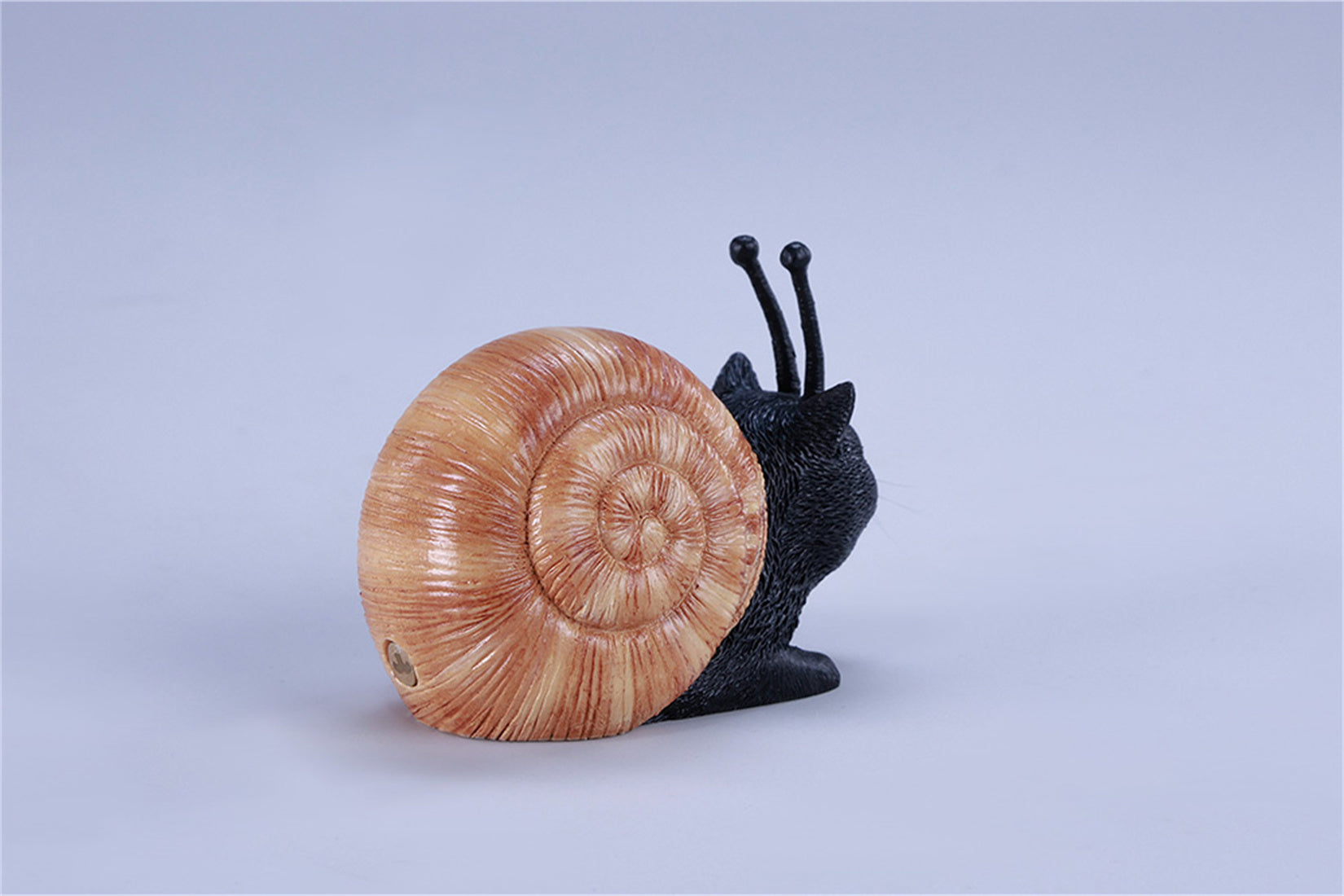 JXK Snail Cat Meow-niu Model