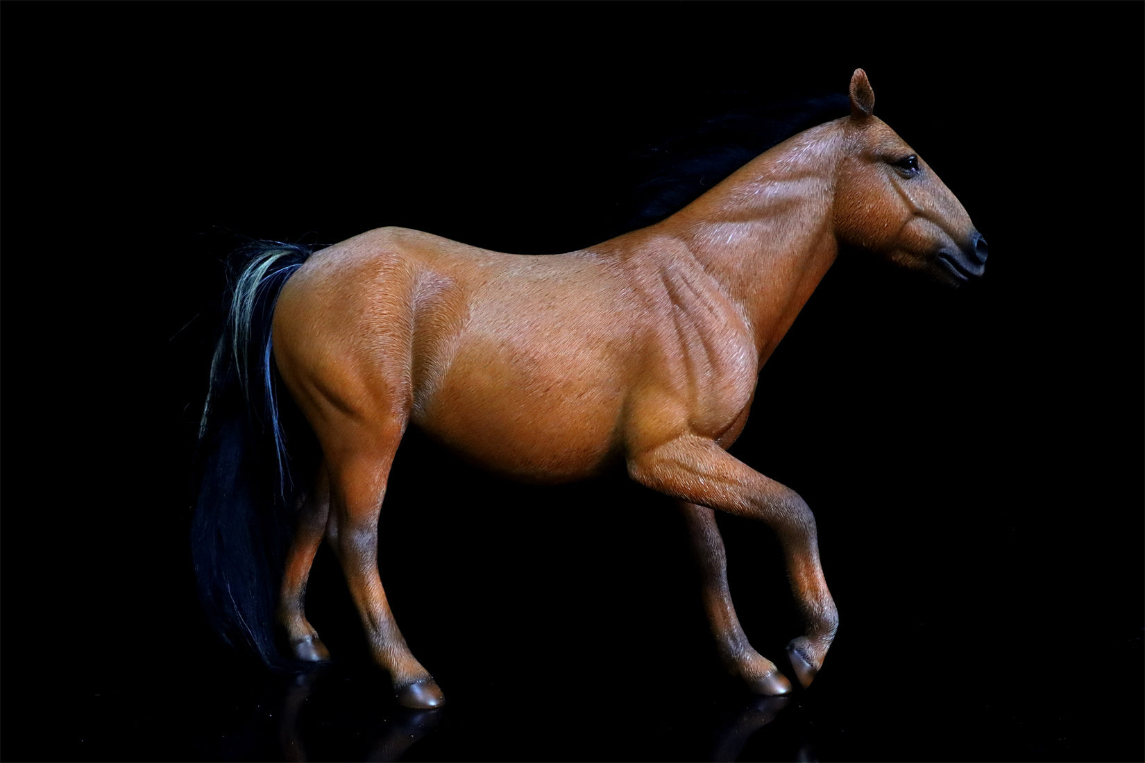 JXK 1/6 Mongolian Horse Model