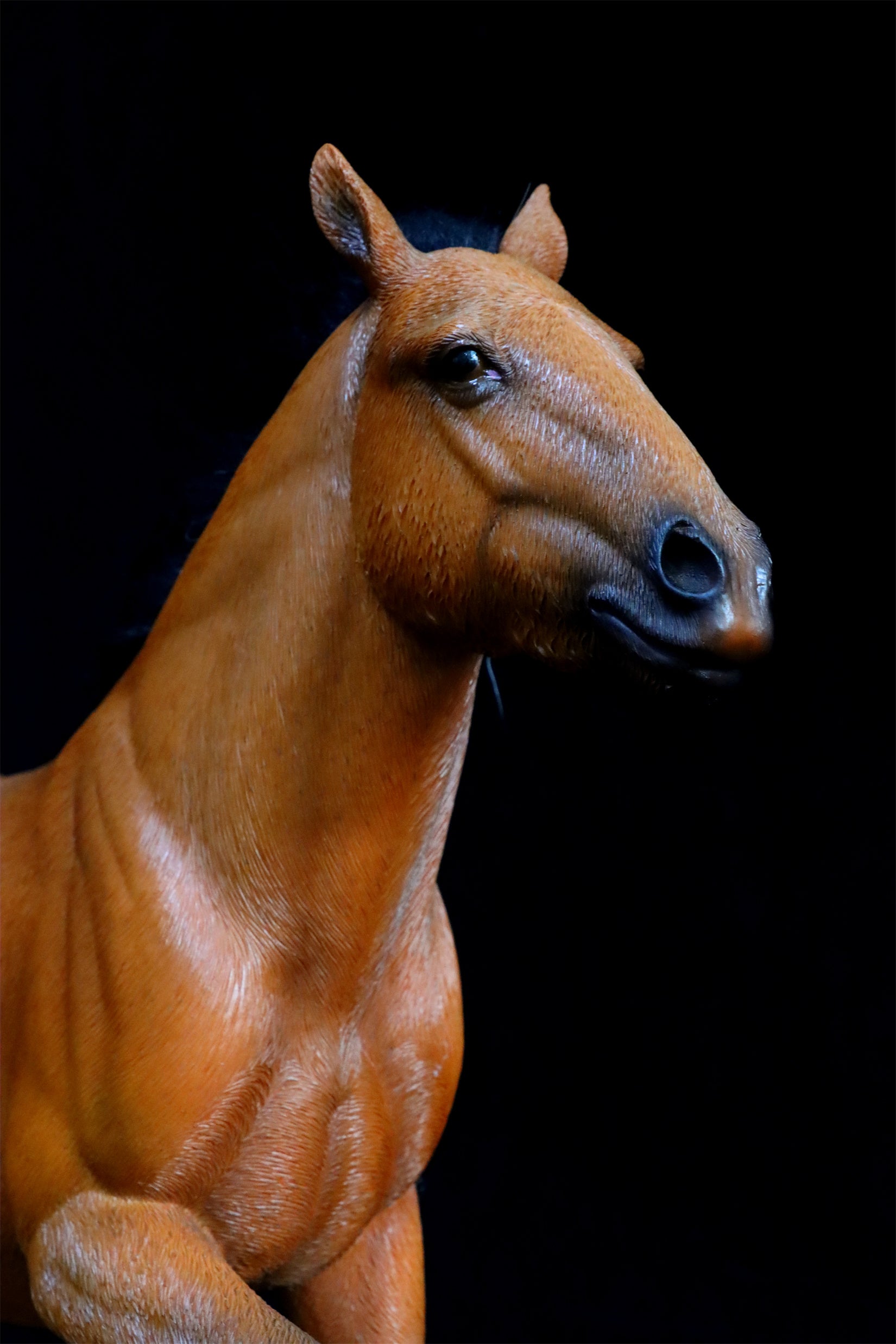 JXK 1/6 Mongolian Horse Model