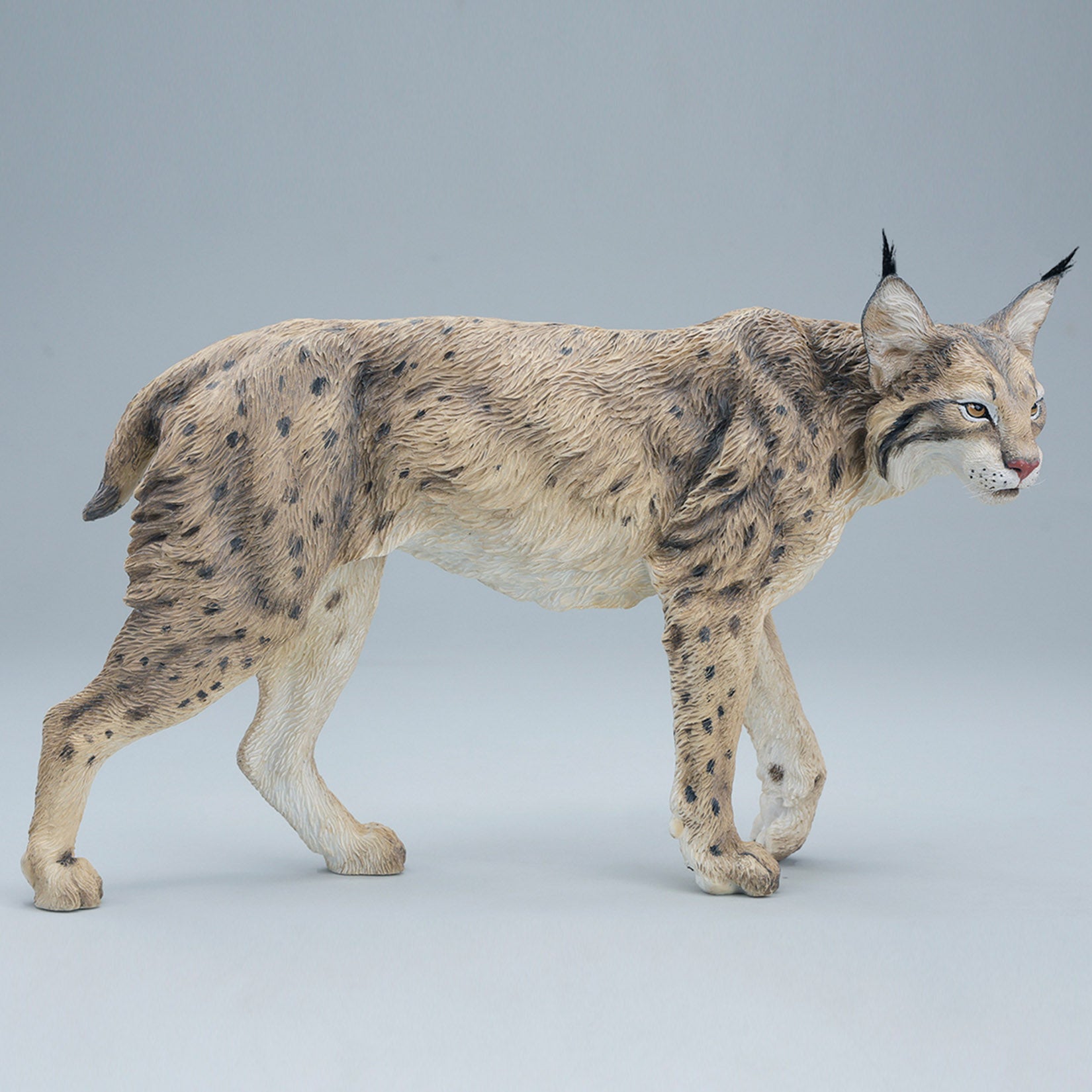 JXK Studio Lynx Model