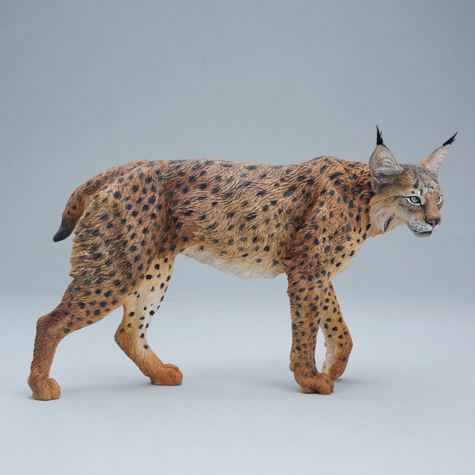 JXK Studio Lynx Model
