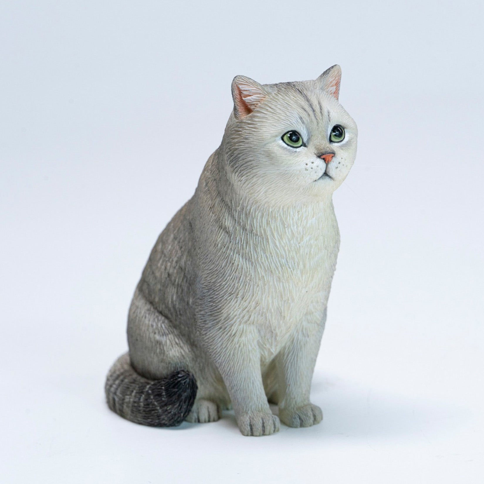 JXK Studio British Shorthair Cat Model