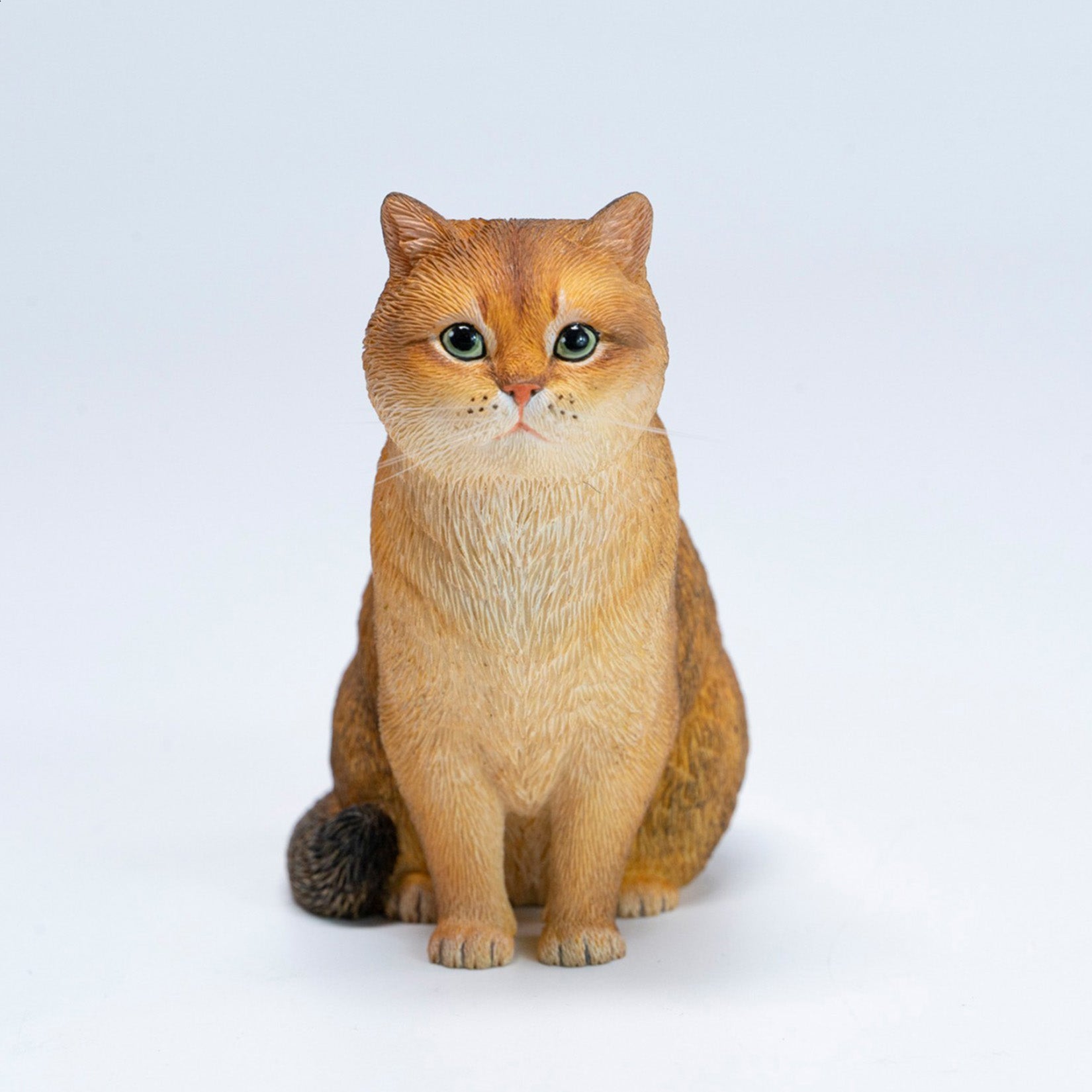 JXK Studio British Shorthair Cat Model