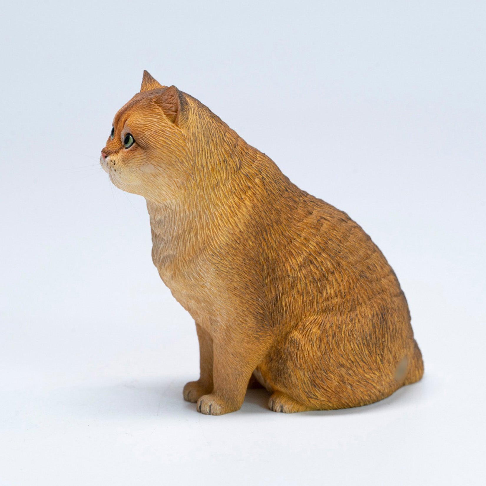 JXK Studio British Shorthair Cat Model
