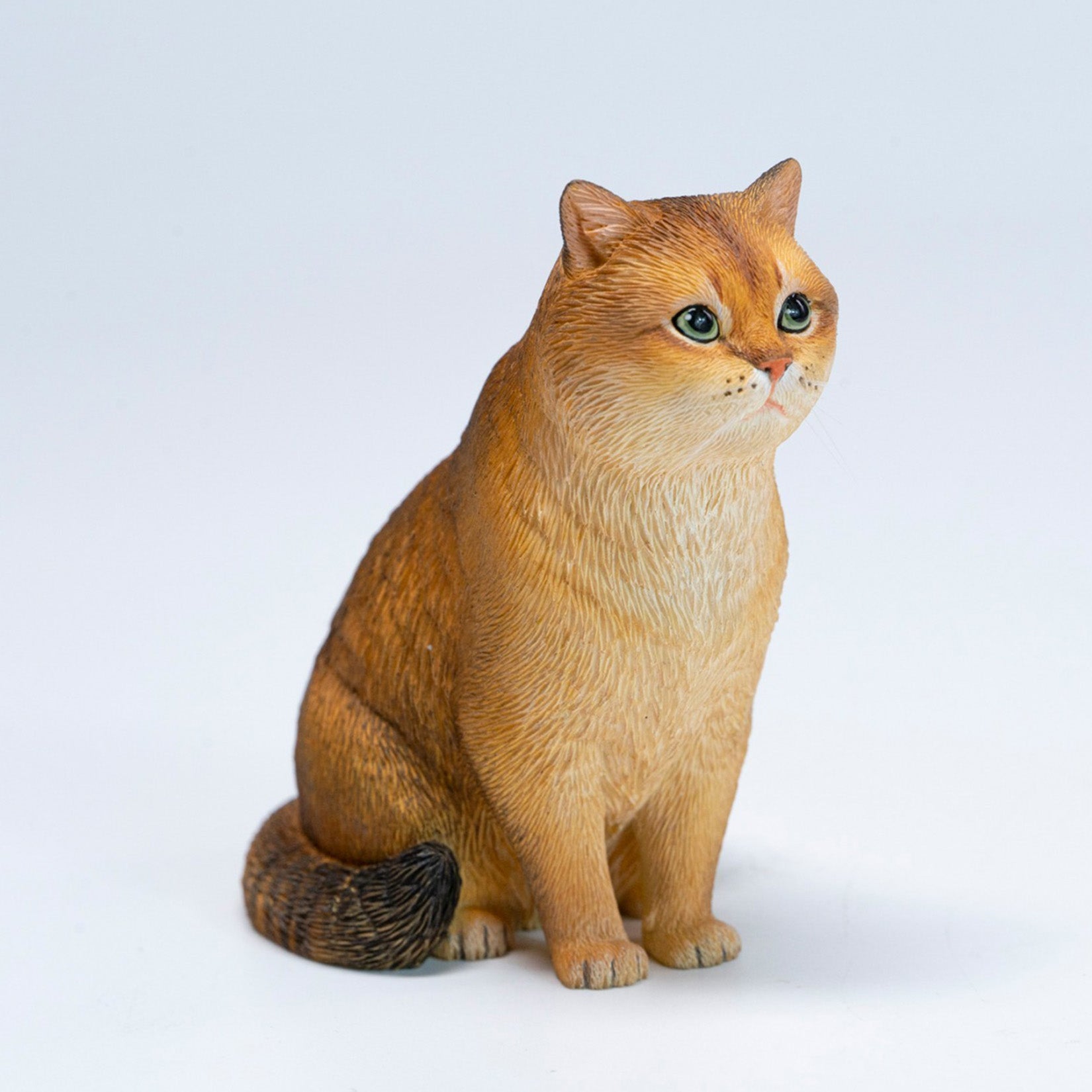 JXK Studio British Shorthair Cat Model
