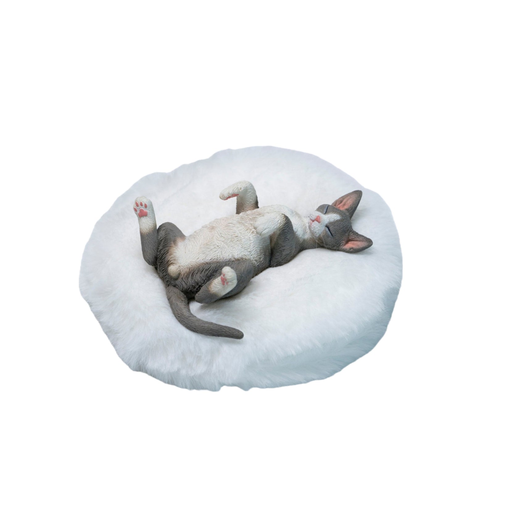 JXK Studio Resting Little Devon Rex Model