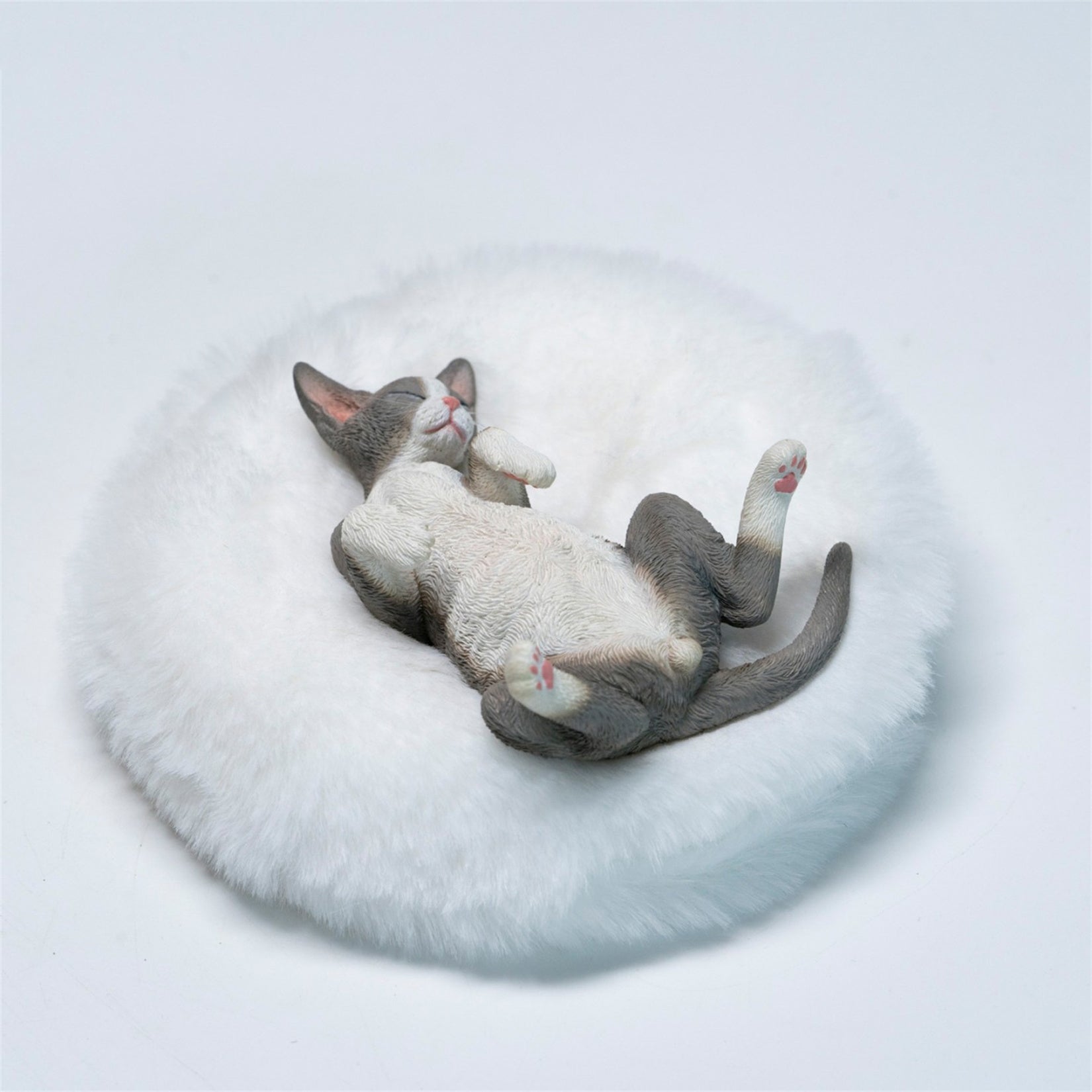 JXK Studio Resting Little Devon Rex Model