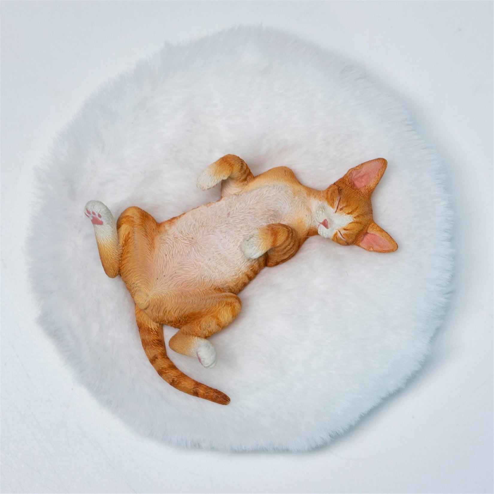 JXK Studio Resting Little Devon Rex Model