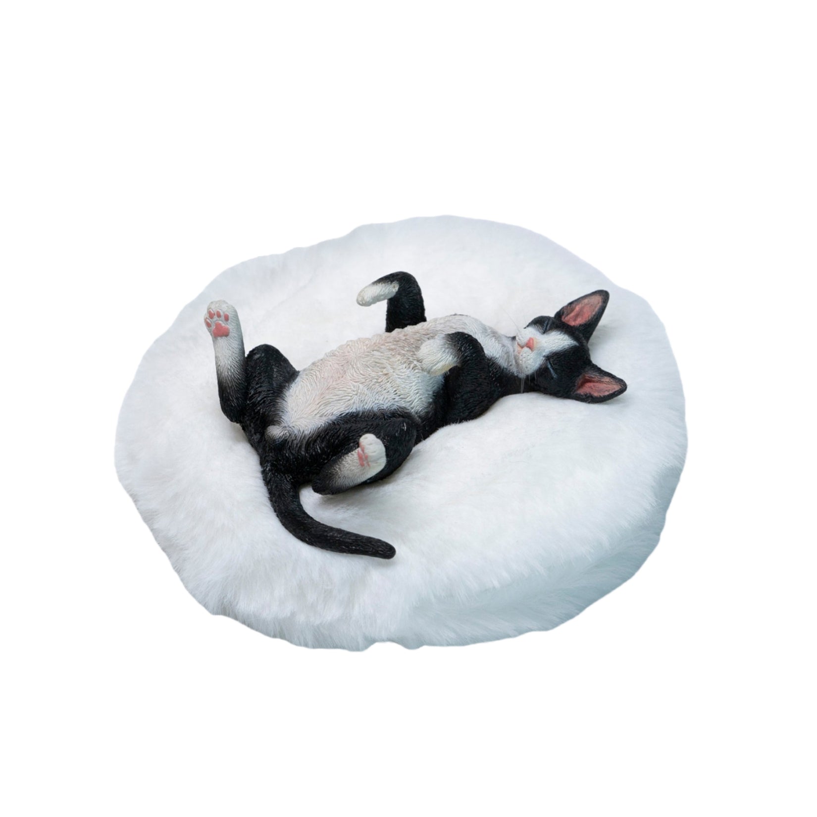 JXK Studio Resting Little Devon Rex Model