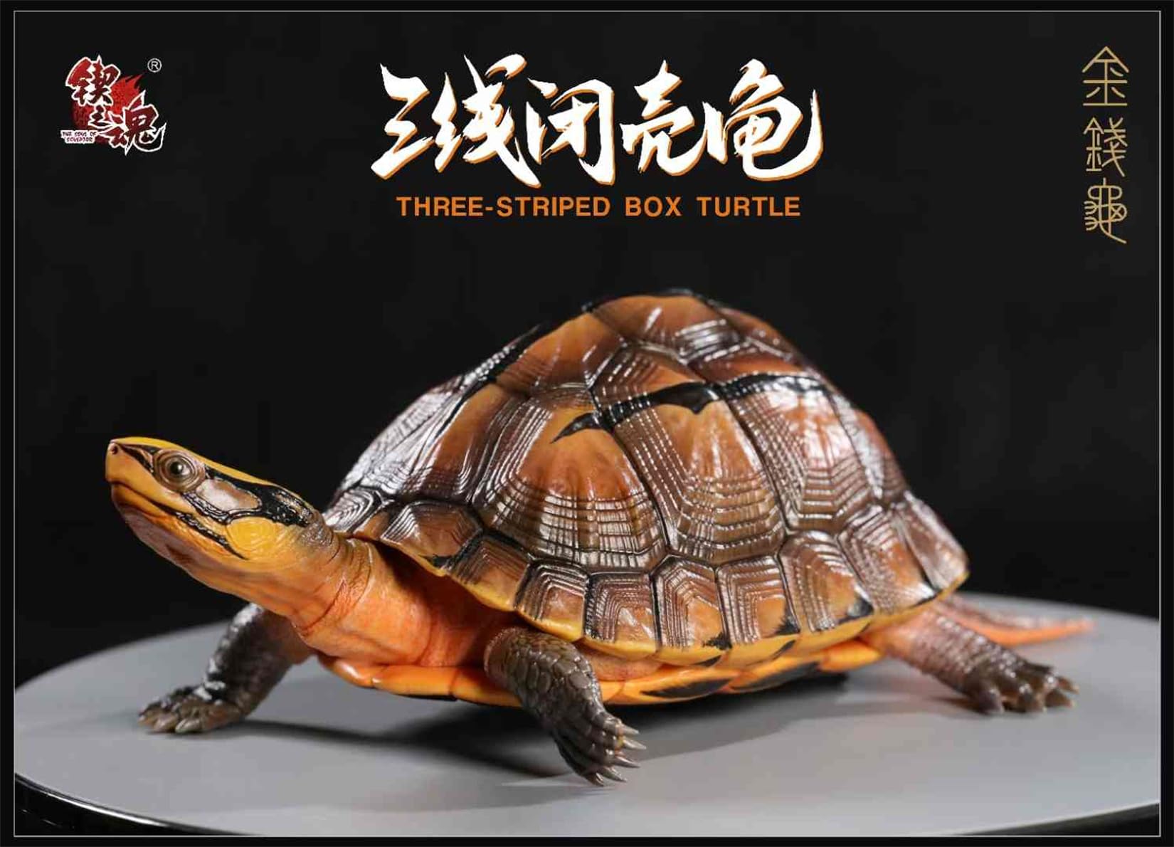 Simulated Tortoise Collectible Figurine