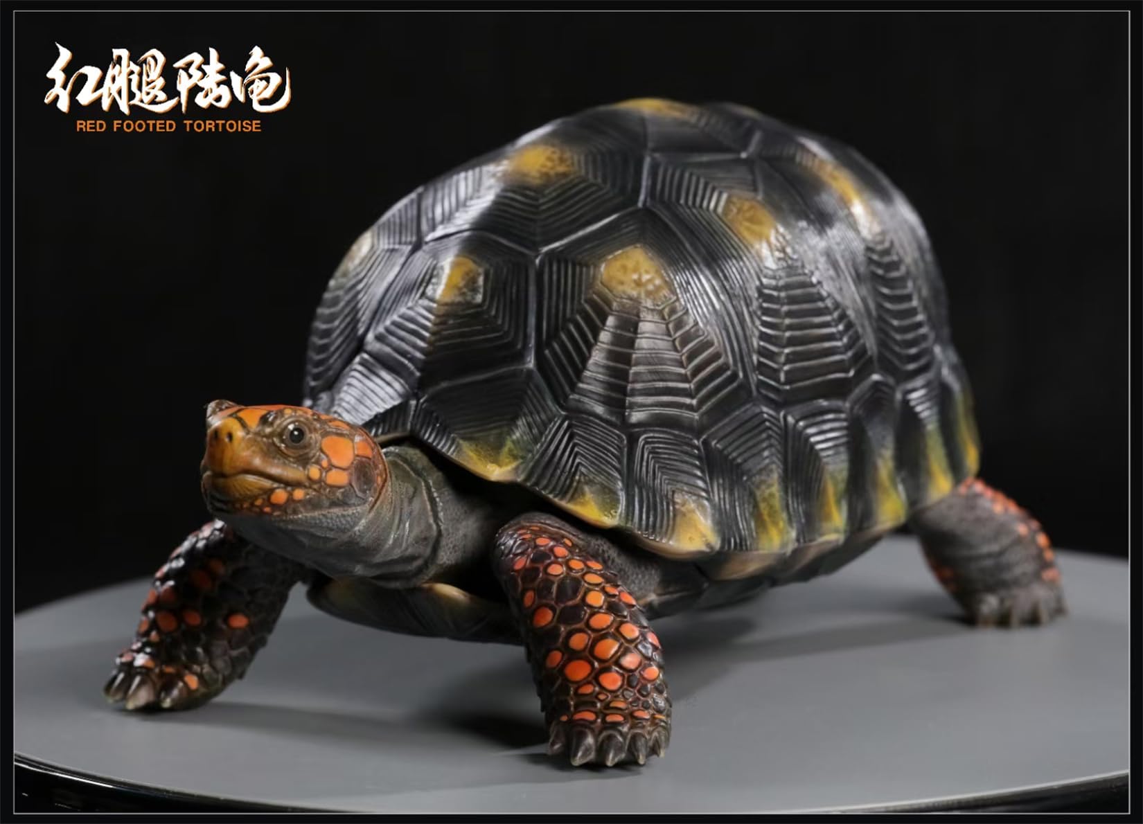 Simulated Tortoise Collectible Figurine
