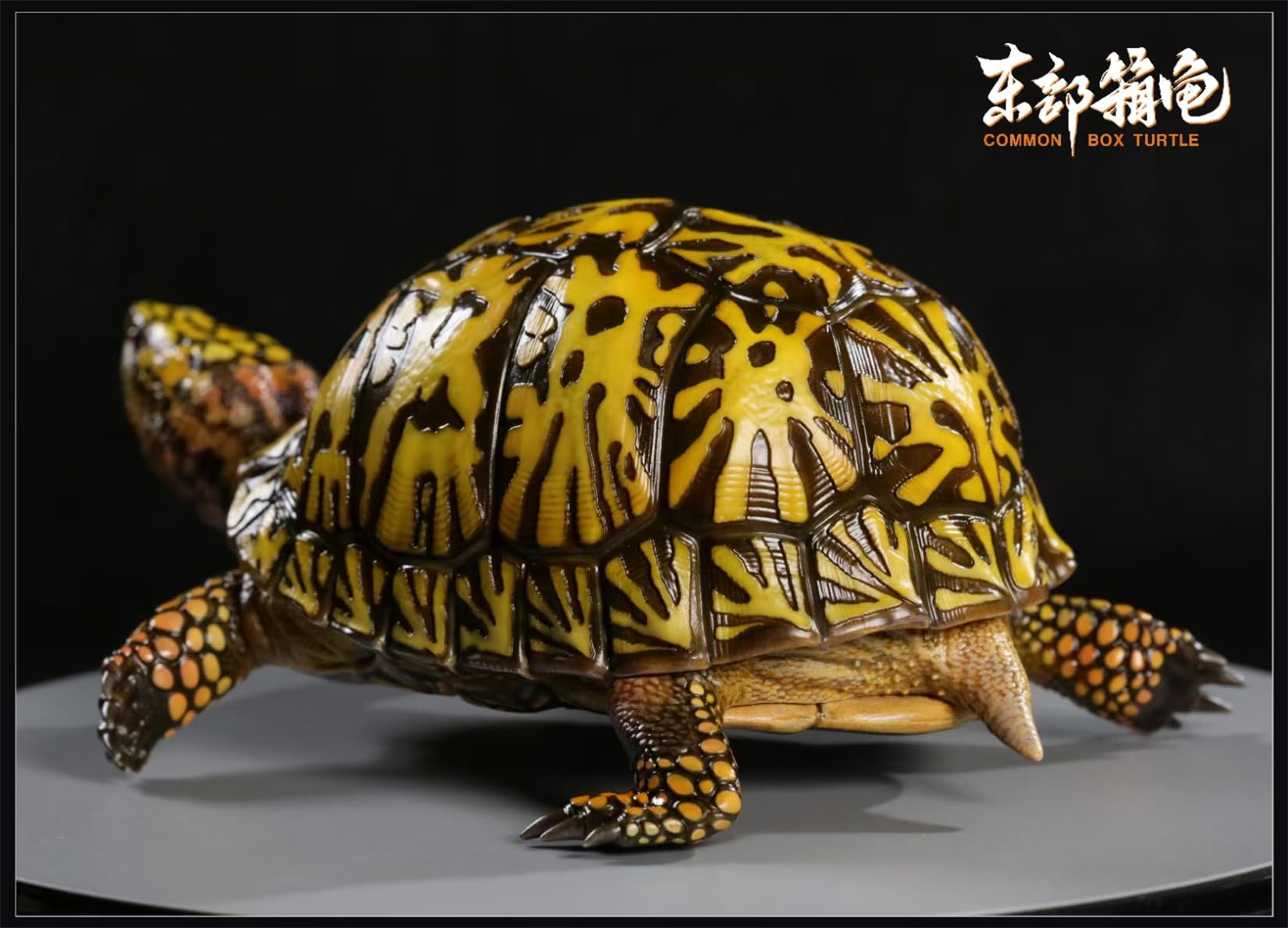 Simulated Tortoise Collectible Figurine