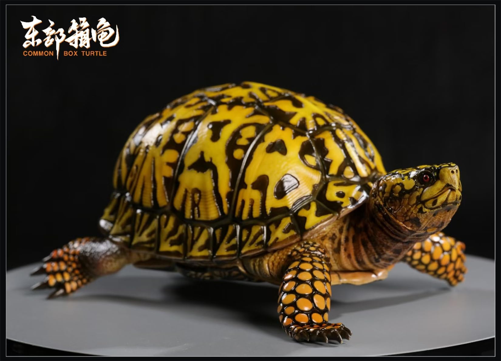 Simulated Tortoise Collectible Figurine