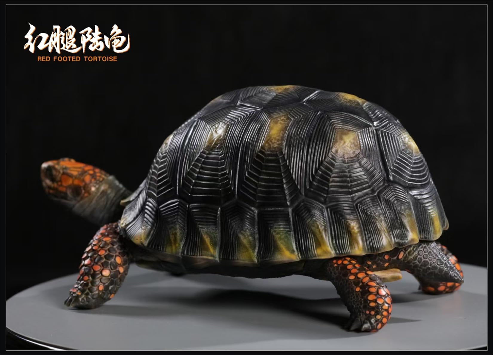 Simulated Tortoise Collectible Figurine