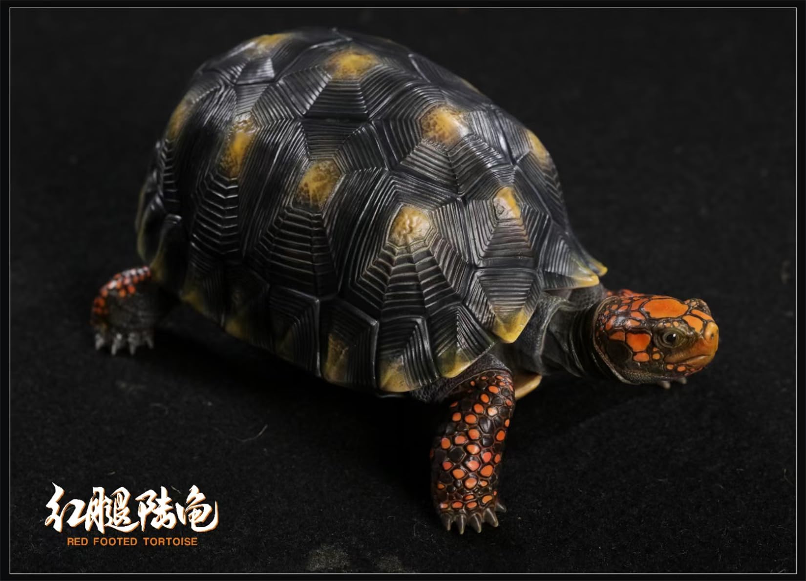 Simulated Tortoise Collectible Figurine