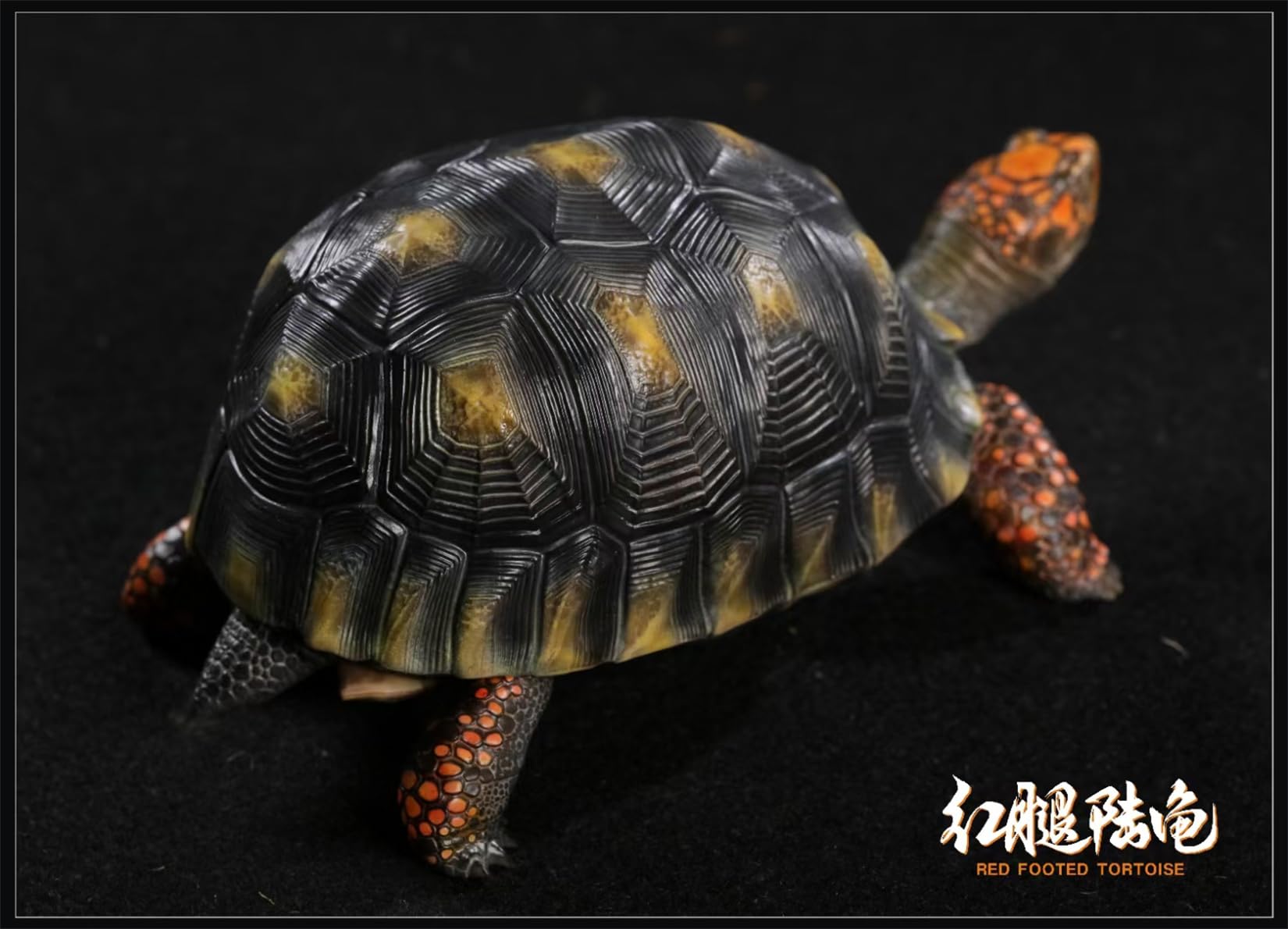 Simulated Tortoise Collectible Figurine