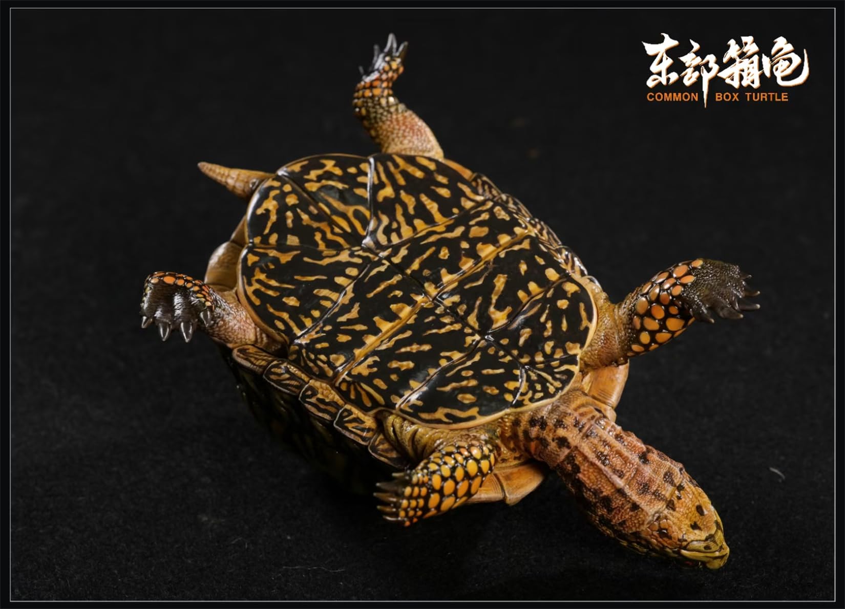 Simulated Tortoise Collectible Figurine