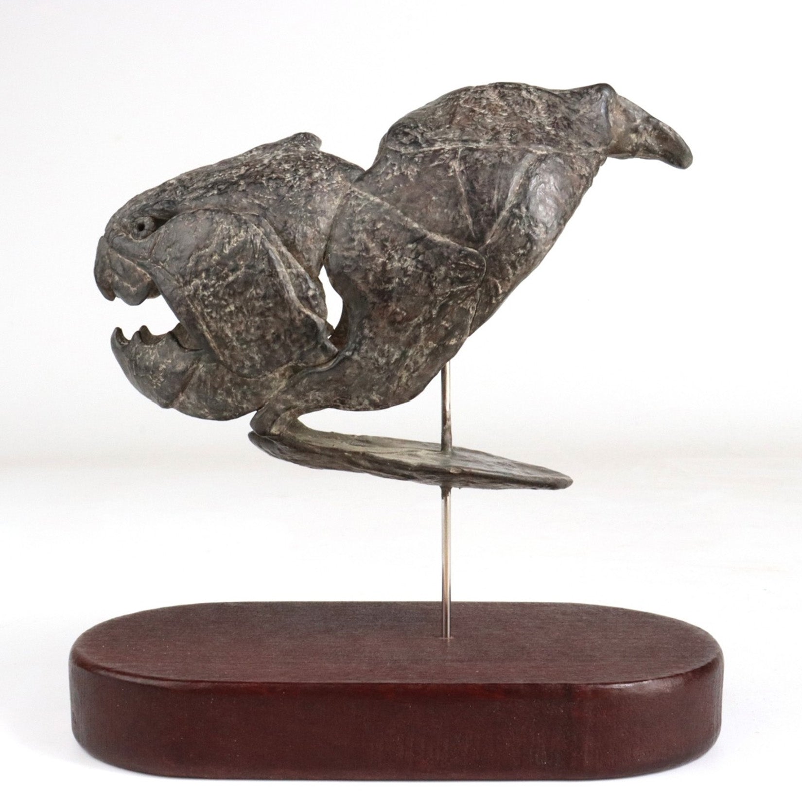 Allosaurus-Skelettmodell im Maßstab 1:18