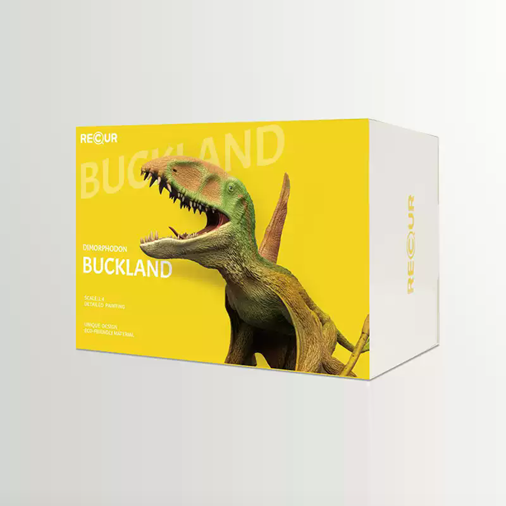 RECUR Dimorphodon Model Dinosaur Scene Decor