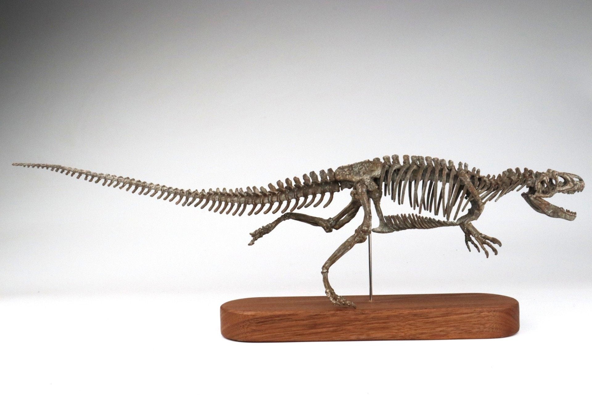 1: 18 Scale Allosaurus Skeleton Model