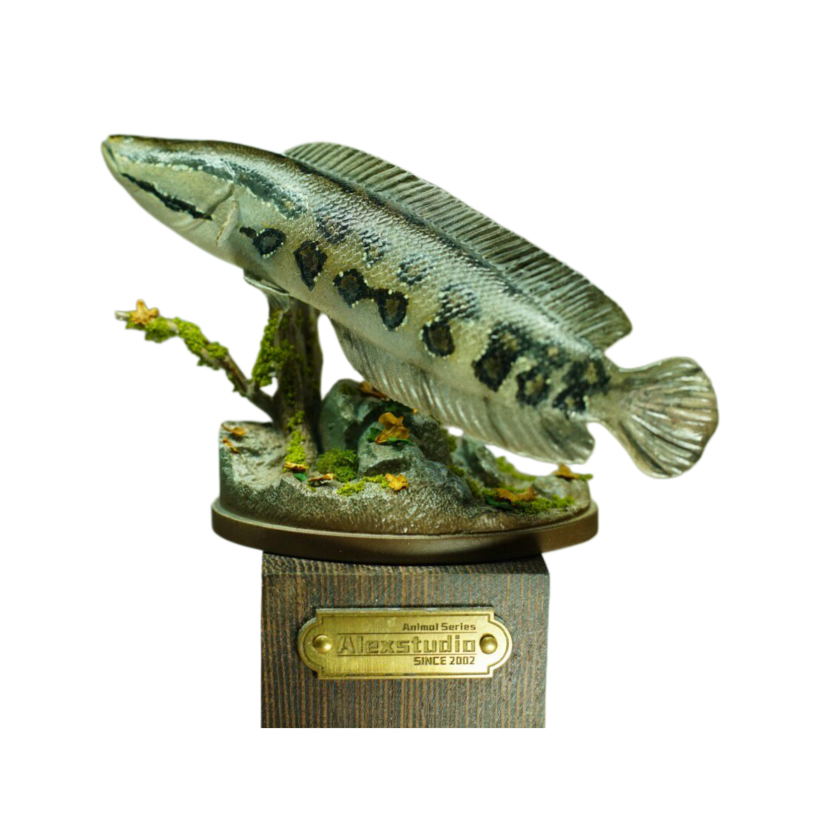 Alex Studio Northern Snakehead Model