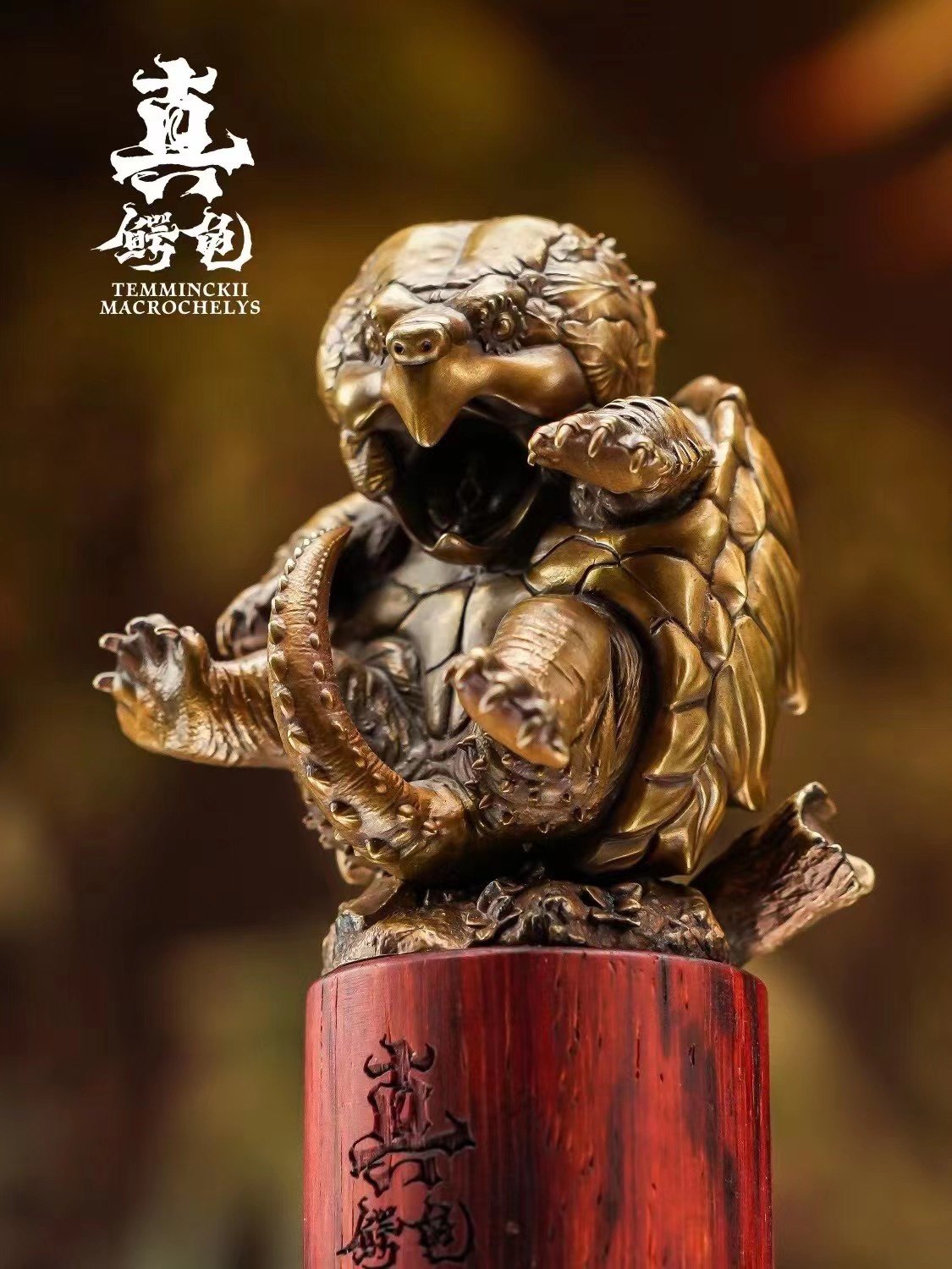 Schildkröten-Serie Tiermodell