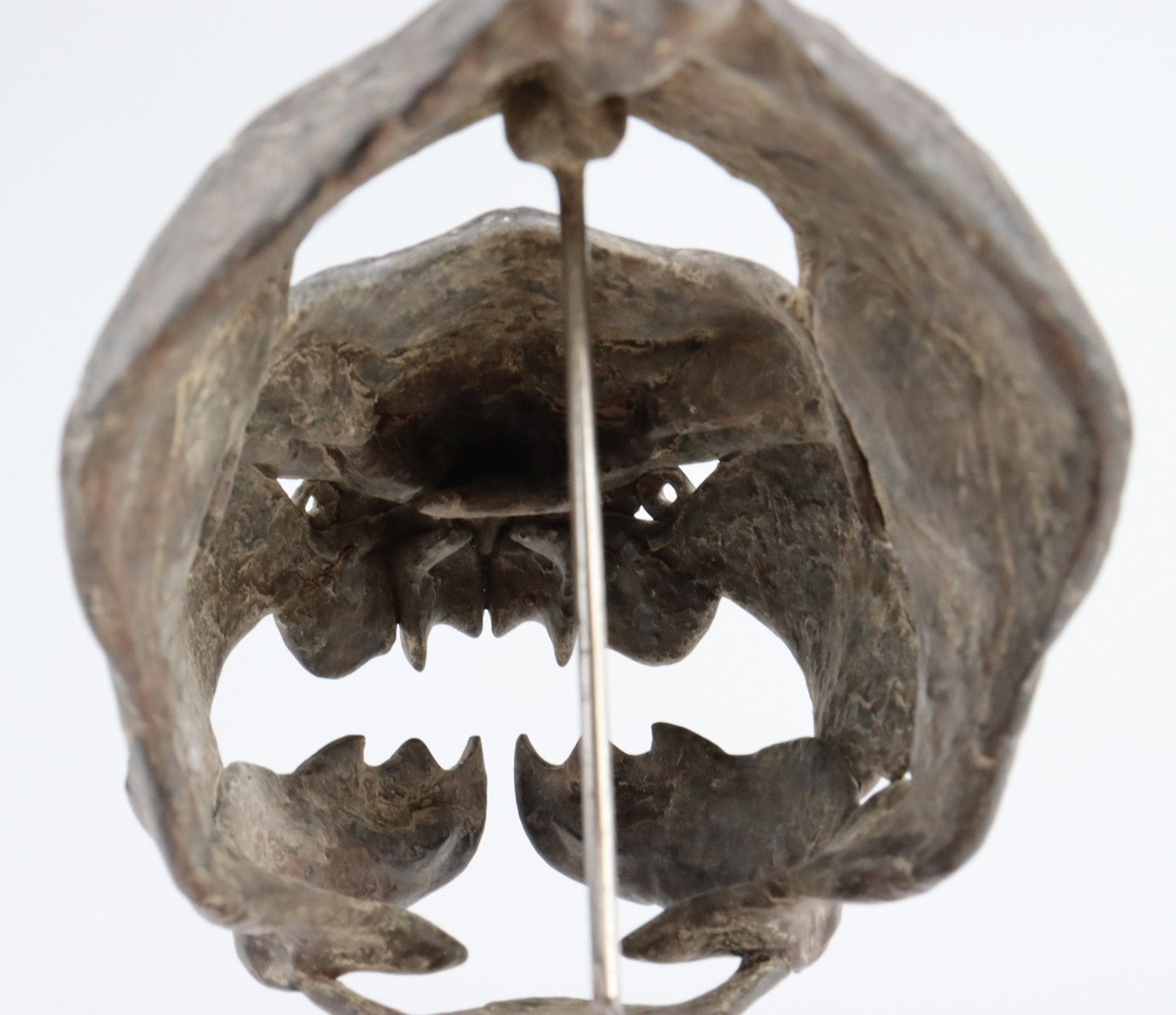 Allosaurus-Skelettmodell im Maßstab 1:18