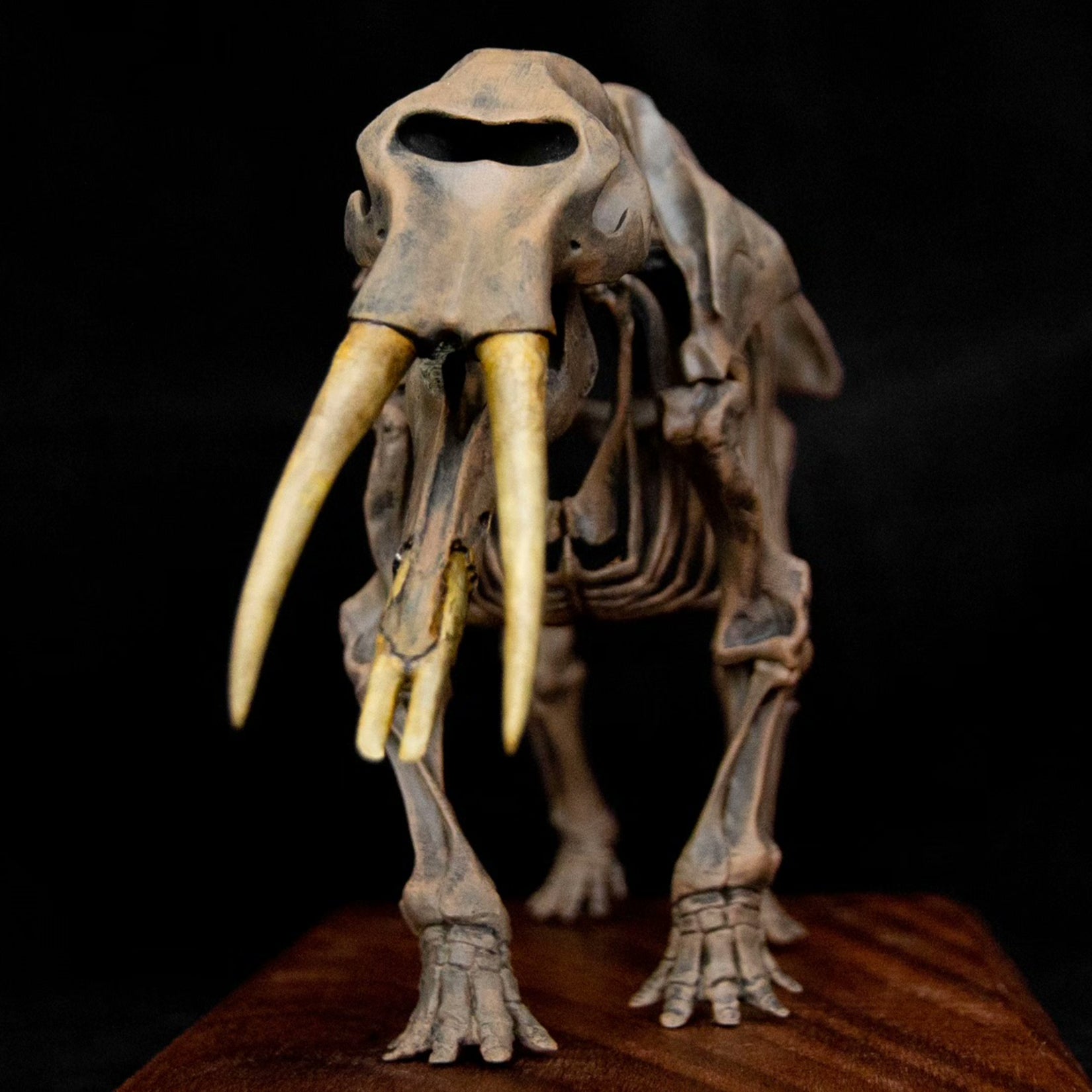 VWUVWU 1:20 Scale Gomphotherium Skeleton Model