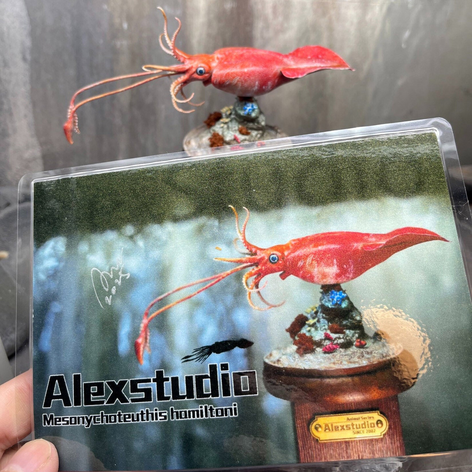 Alex Studio Colossal Squid Model