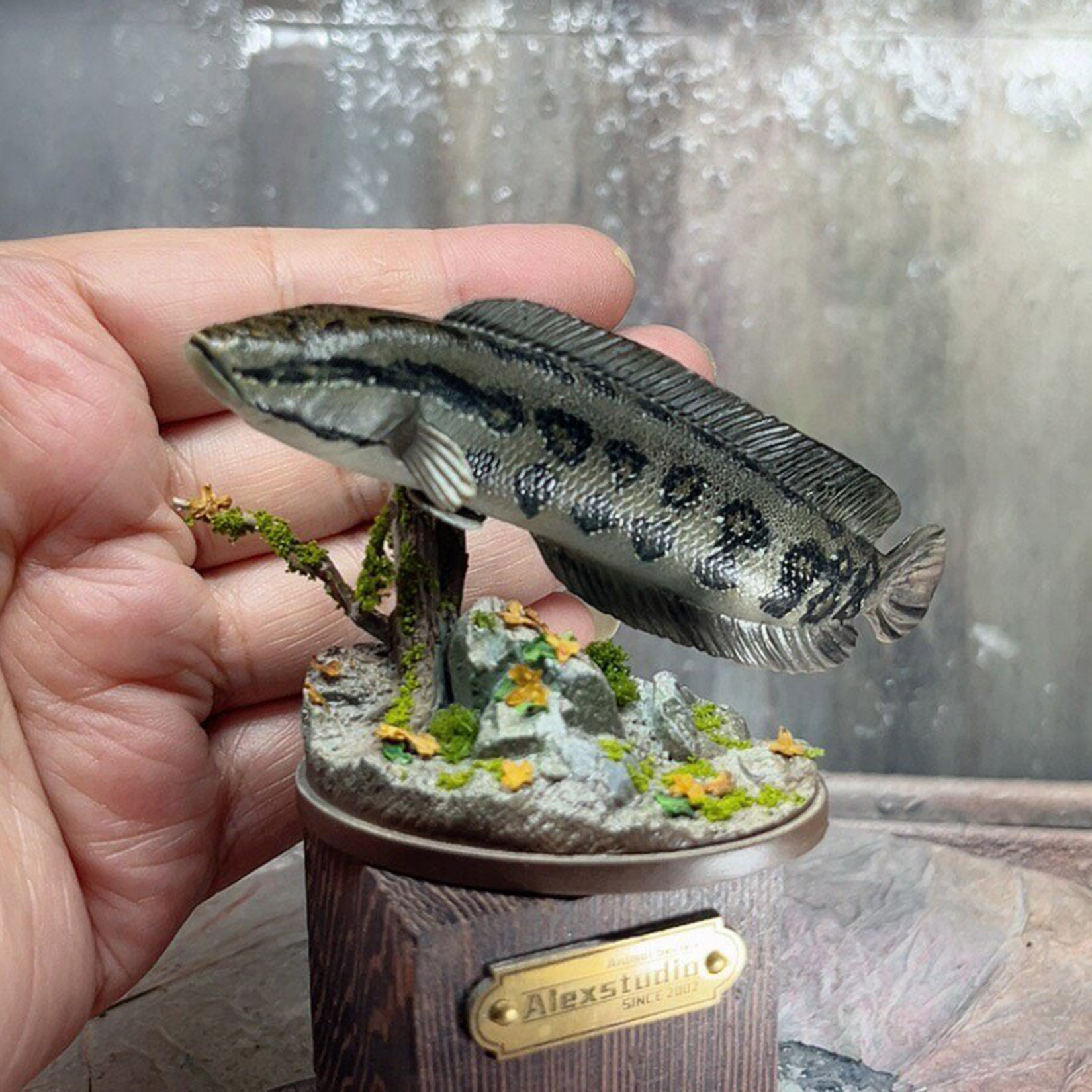 Alex Studio Northern Snakehead Model