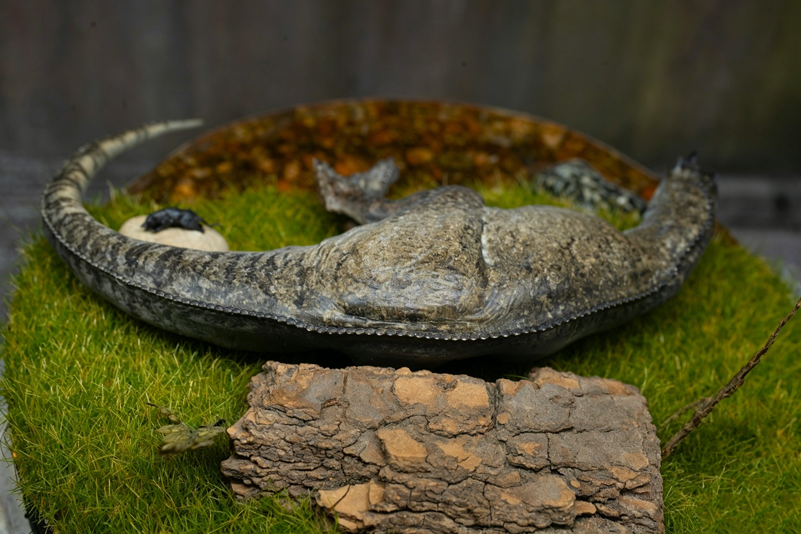 Alex Studio Ceratosaurus Dinosaur Model