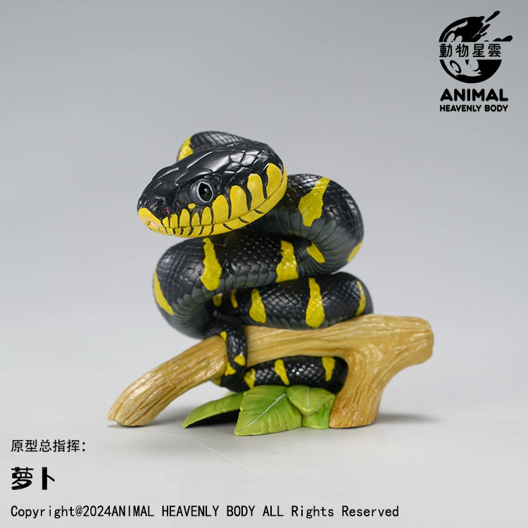 Animal Heavenly Body 23 Snake 3.0 Blind Box Model