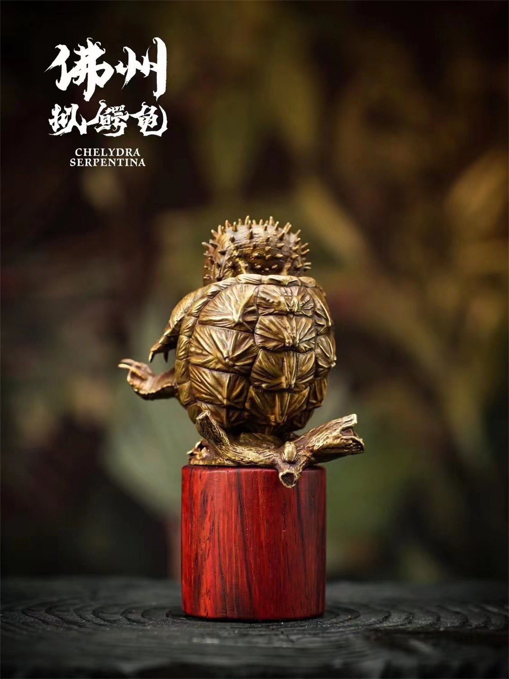 Schildkröten-Serie Tiermodell